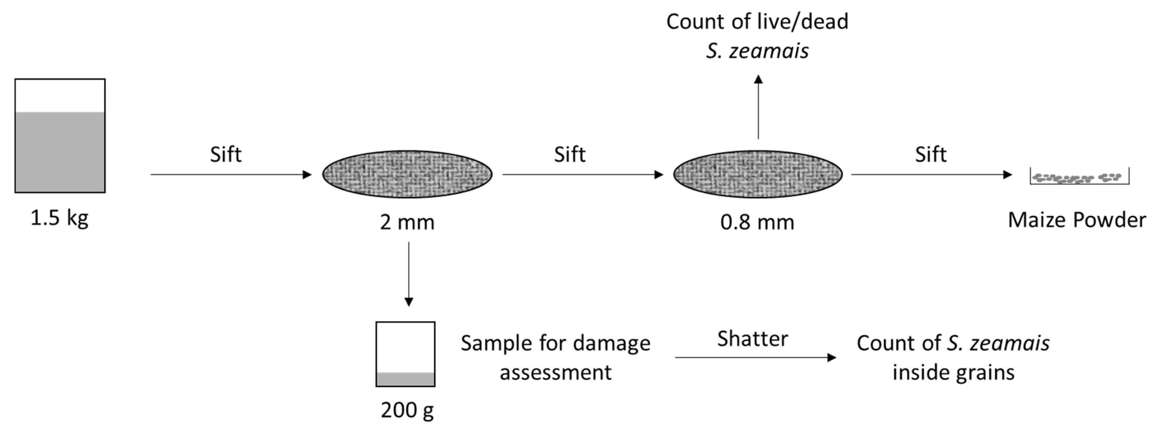Insects 14 00366 g002