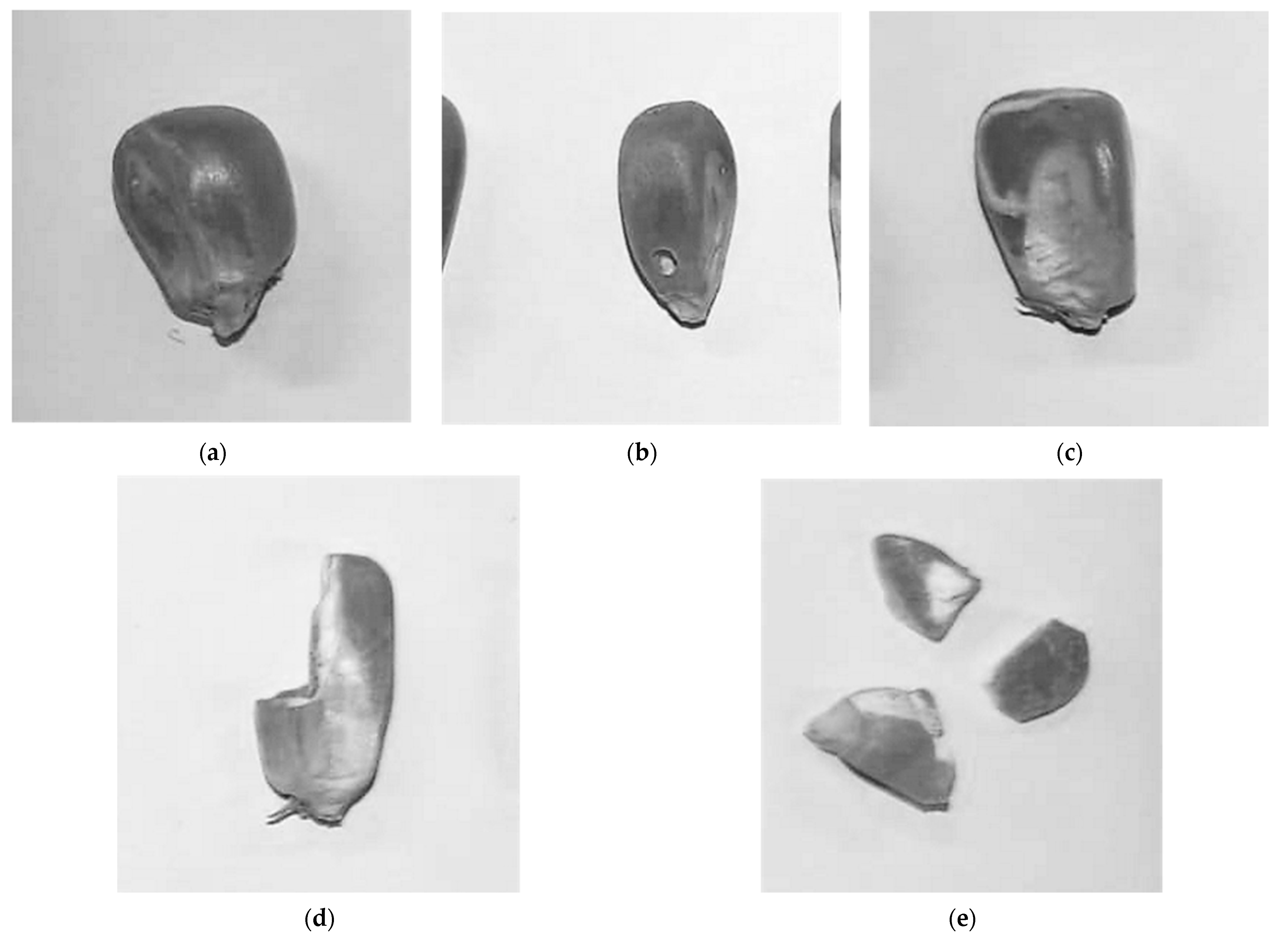 Insects 14 00366 g003