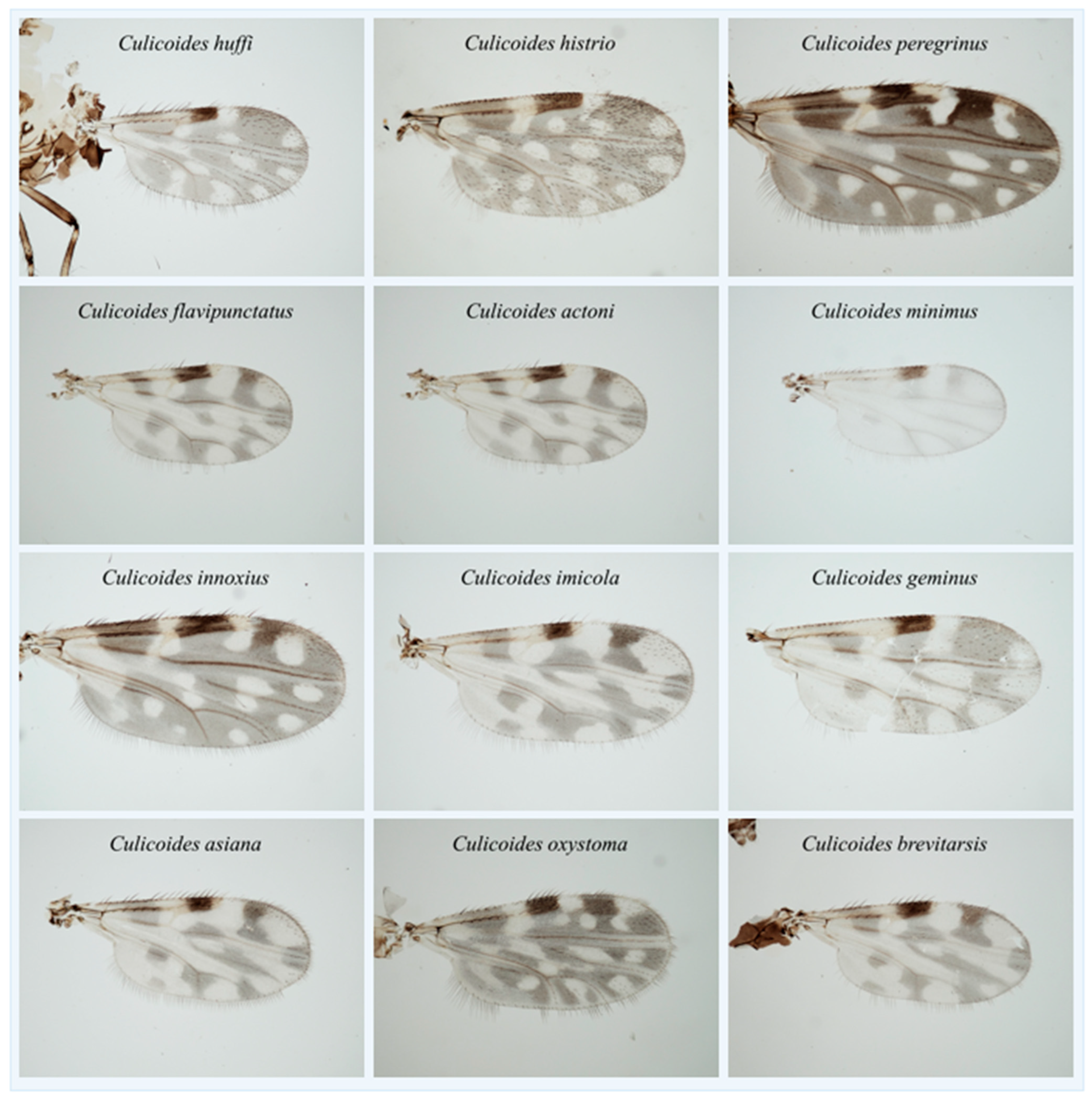 Insects 14 00369 g003