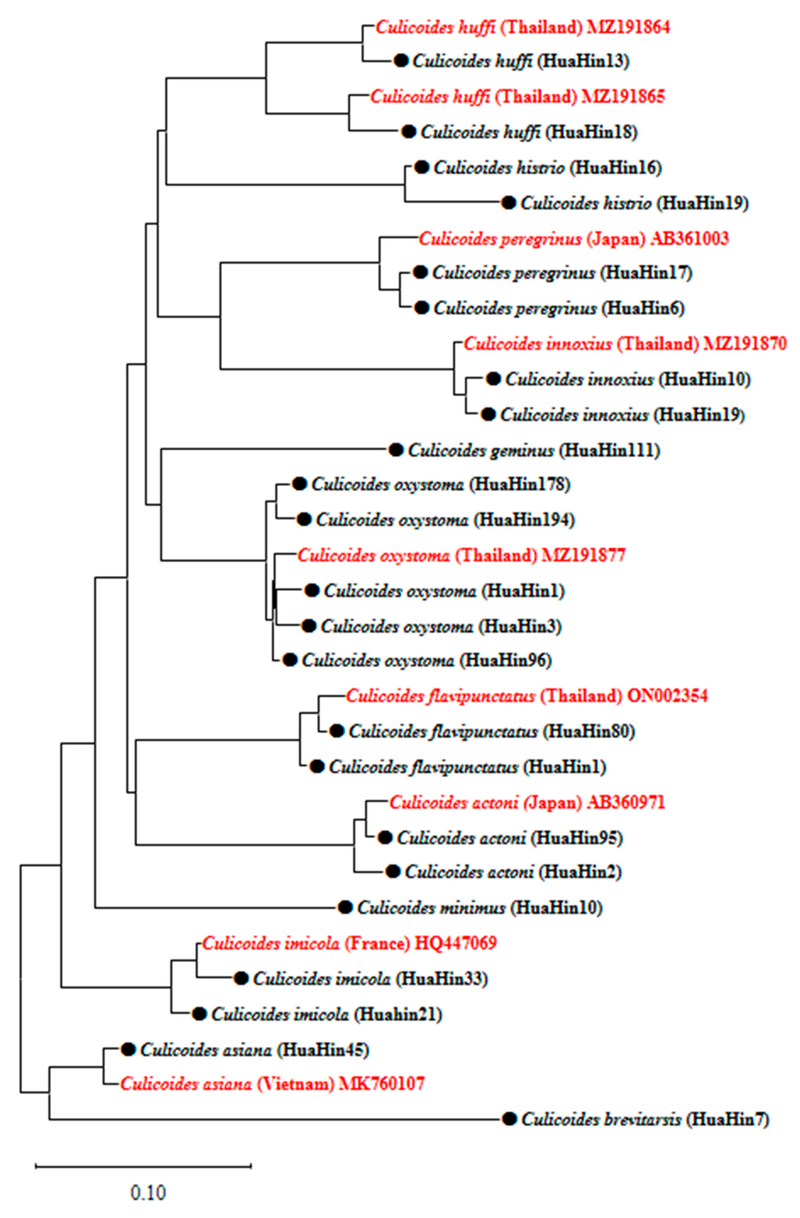 Insects 14 00369 g004