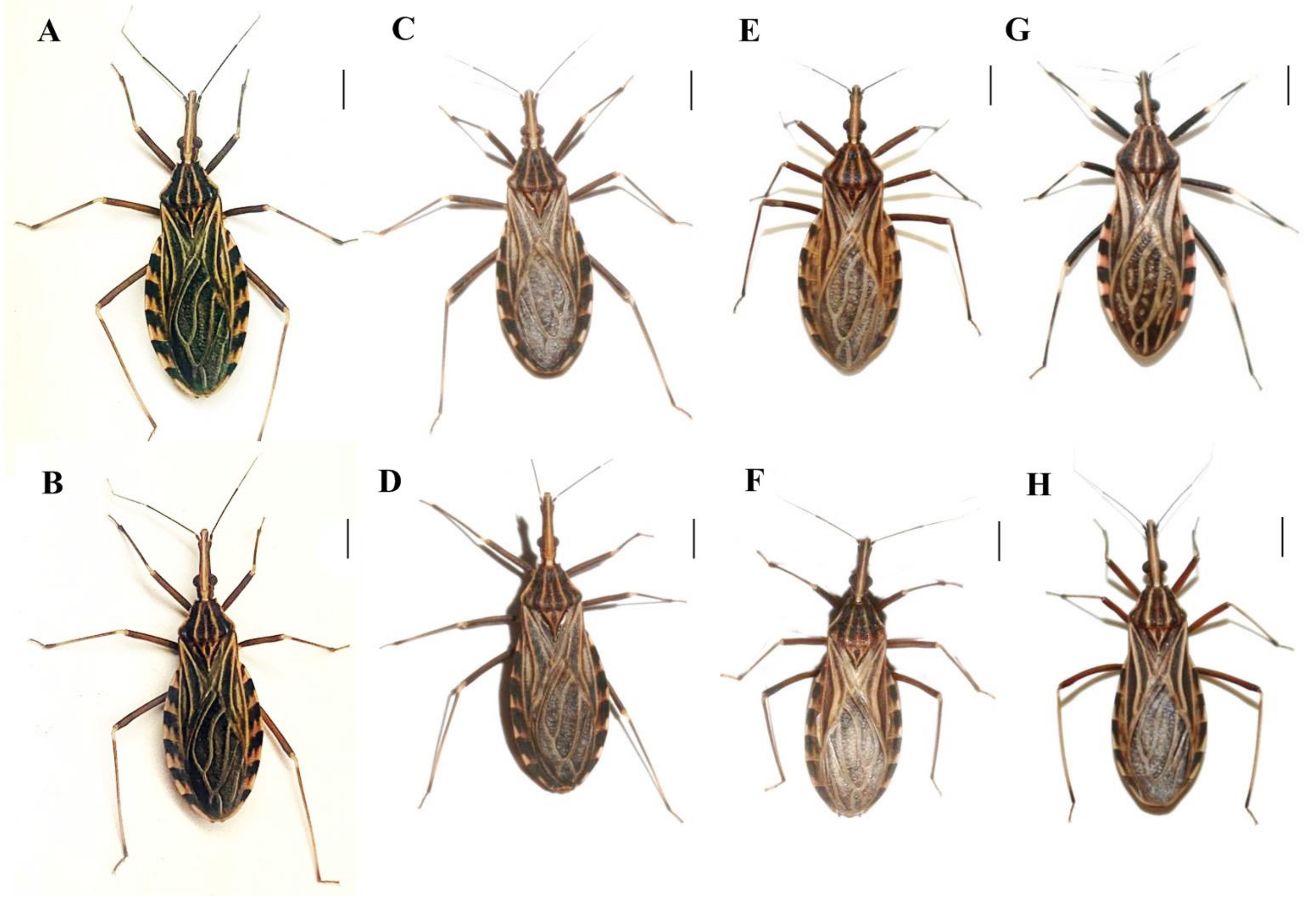 Insects 14 00378 g002