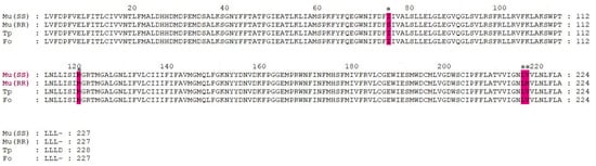 Insects 14 00388 g0a3