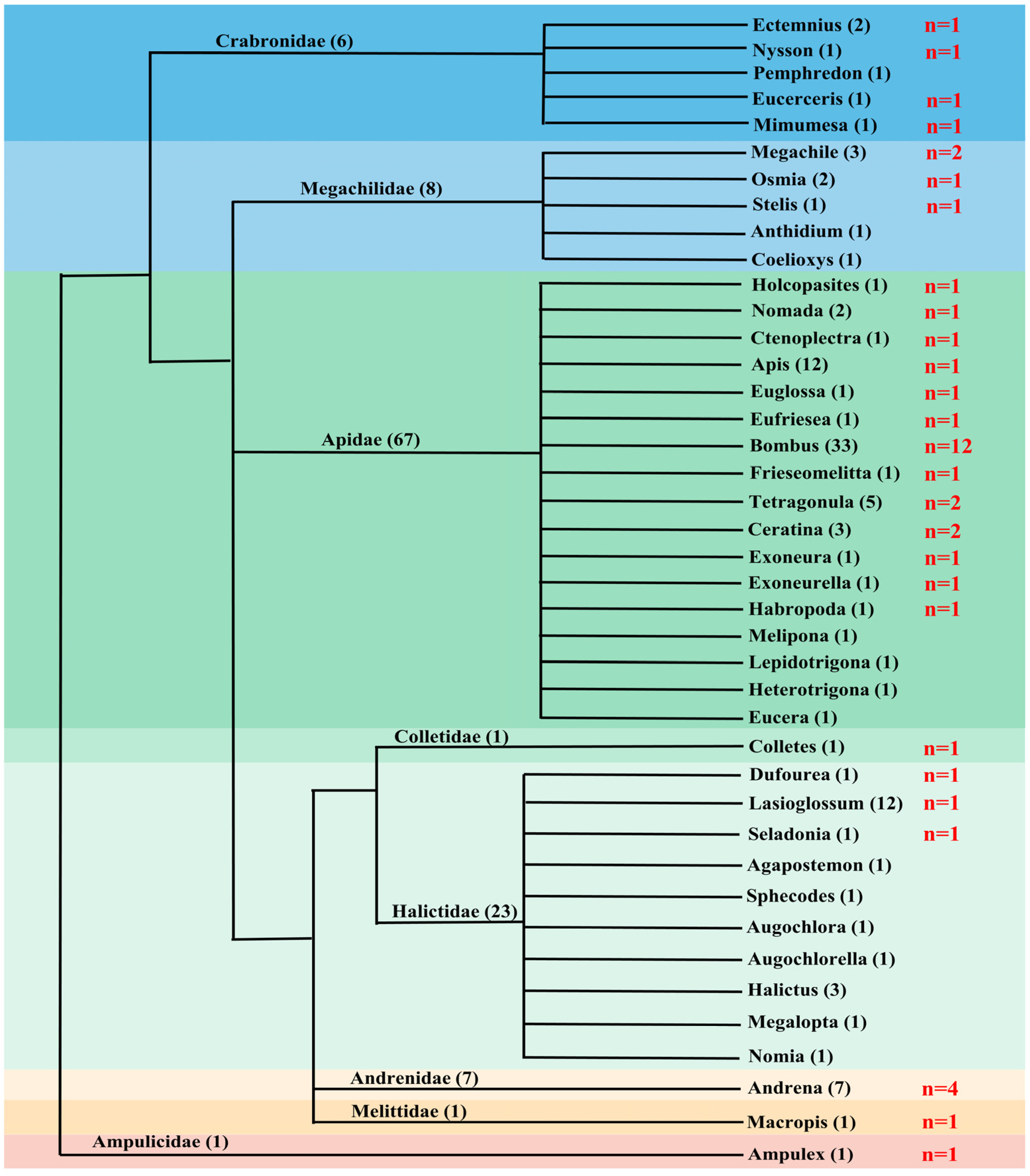 Insects 14 00402 g001
