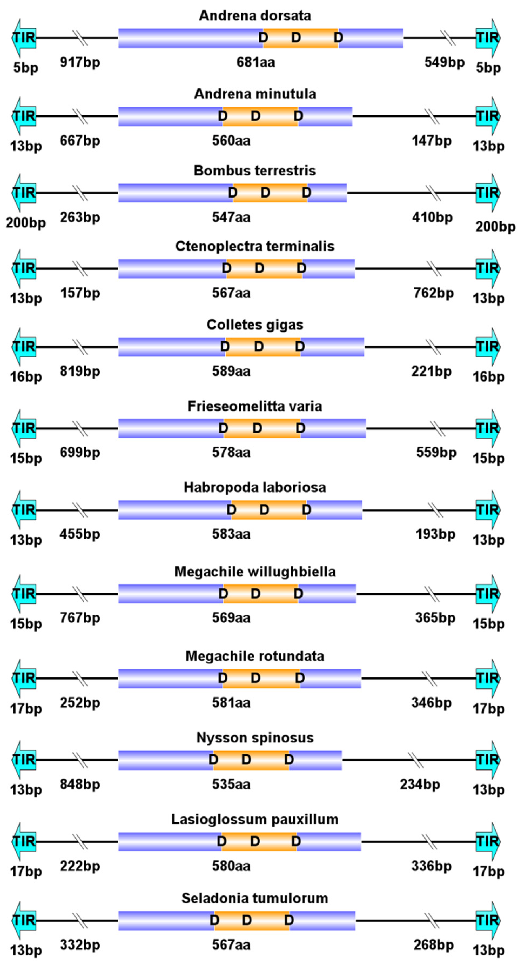 Insects 14 00402 g002