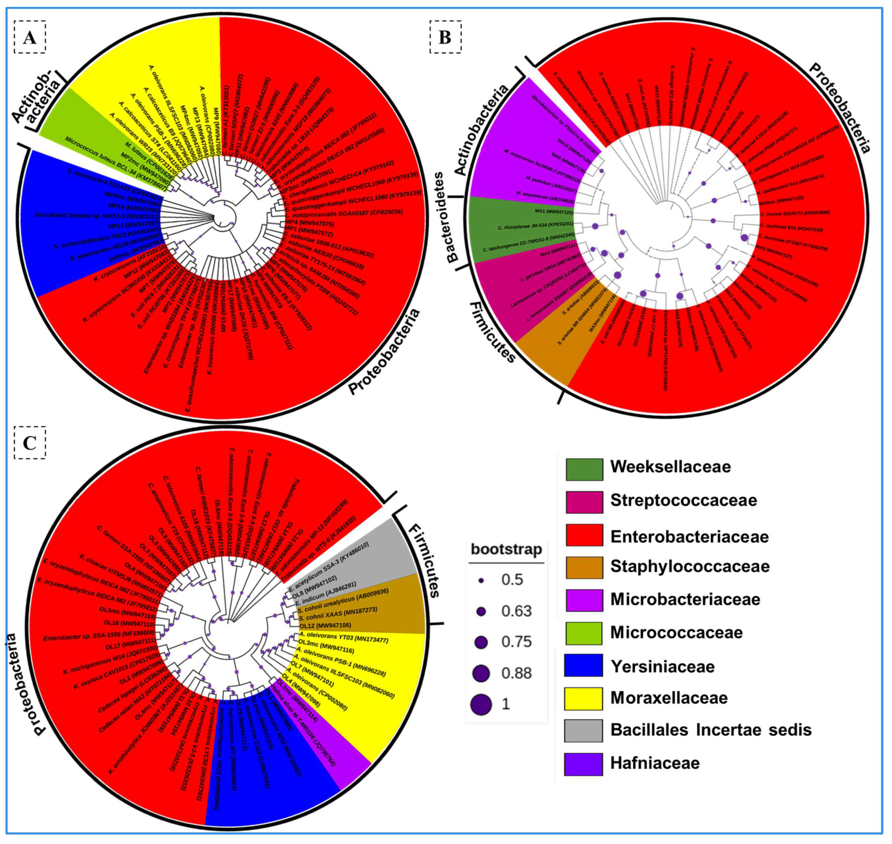 Insects 14 00403 g001