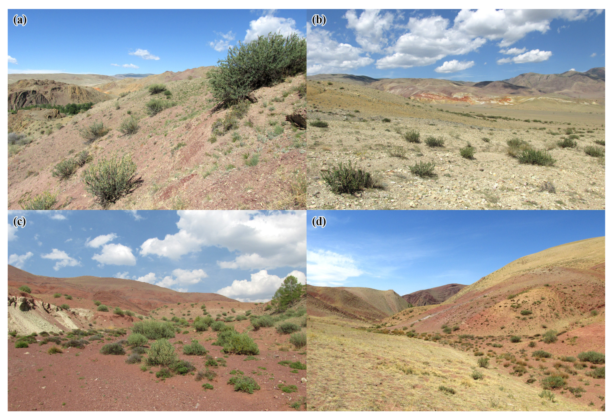 Insects 14 00408 g001 Insects 14 00408 g001