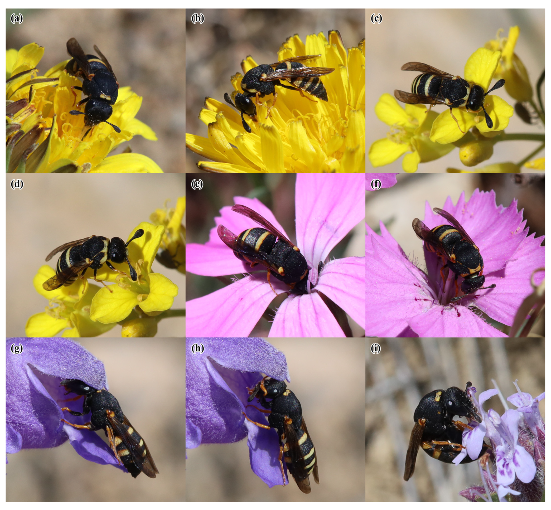 Insects 14 00408 g006 Insects 14 00408 g006