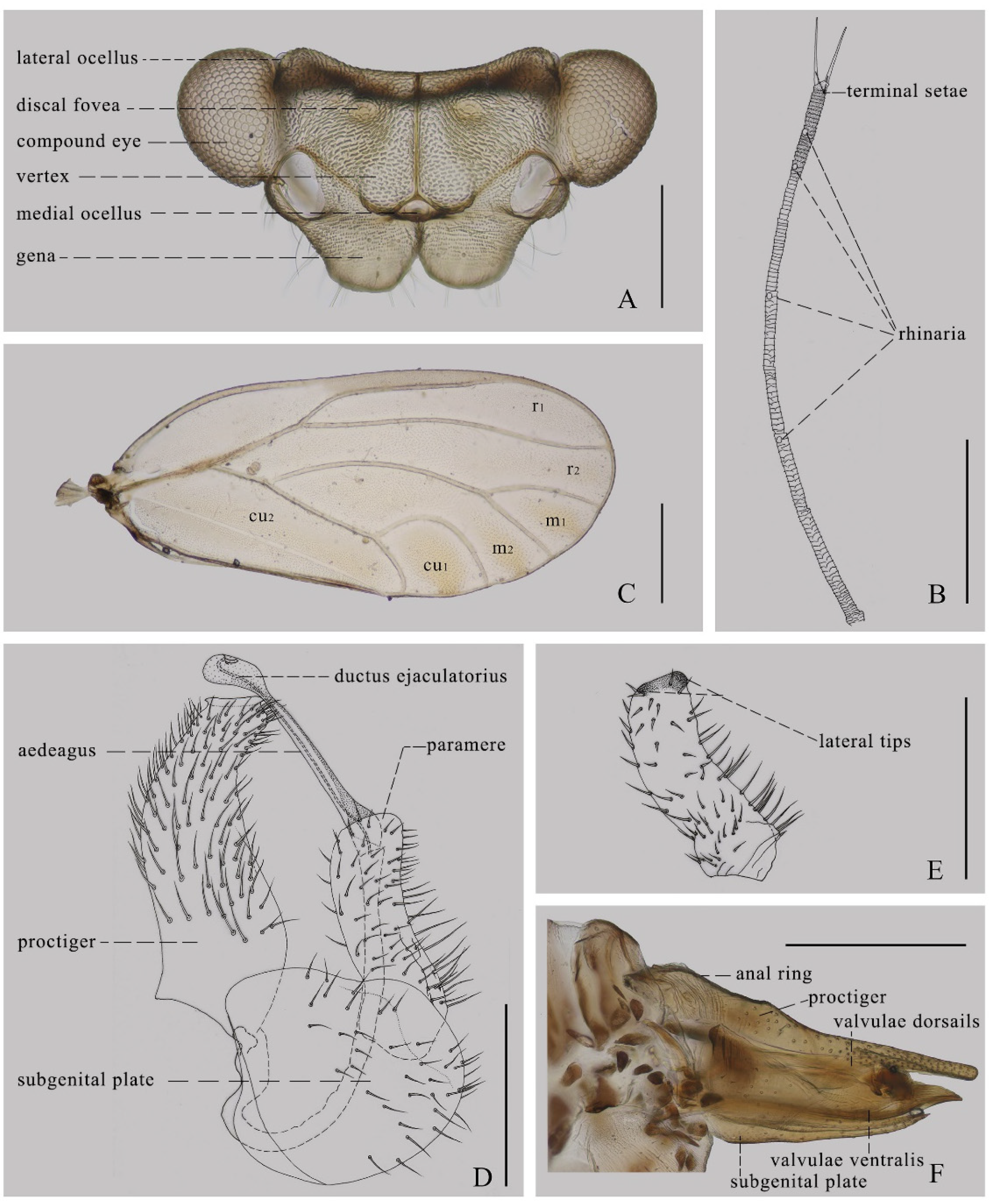 Insects 14 00414 g002