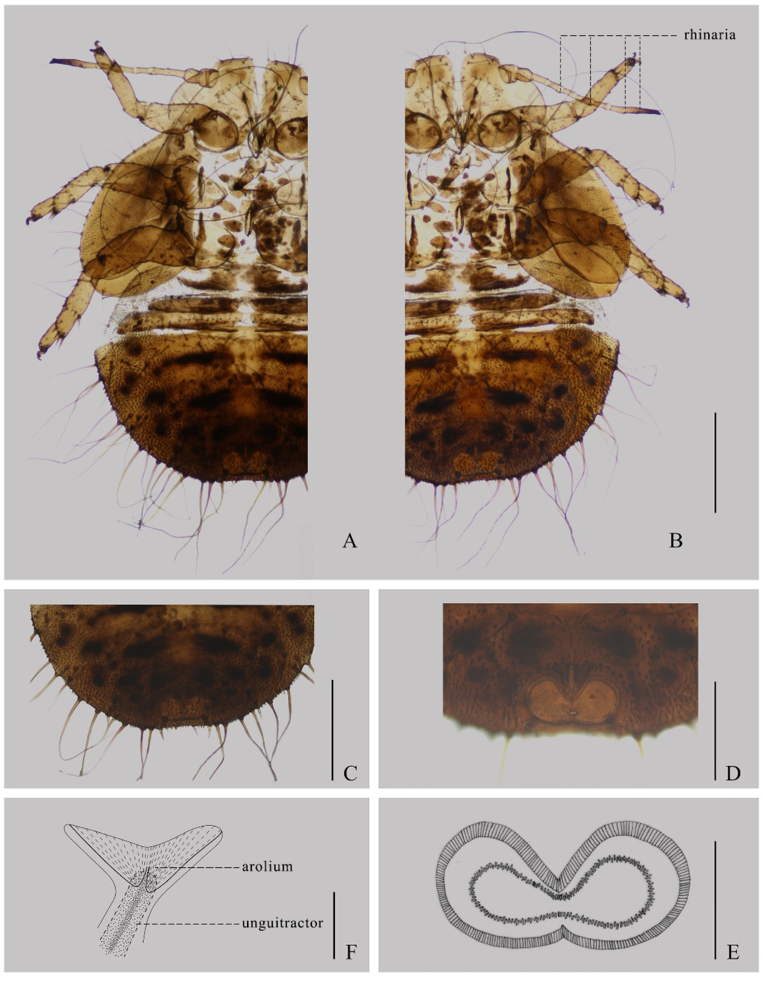 Insects 14 00414 g003