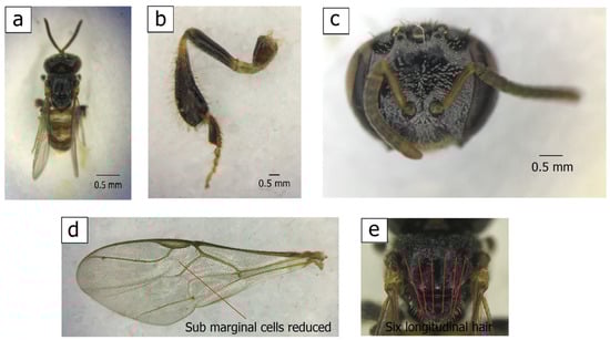 Insects 14 00438 g0a1