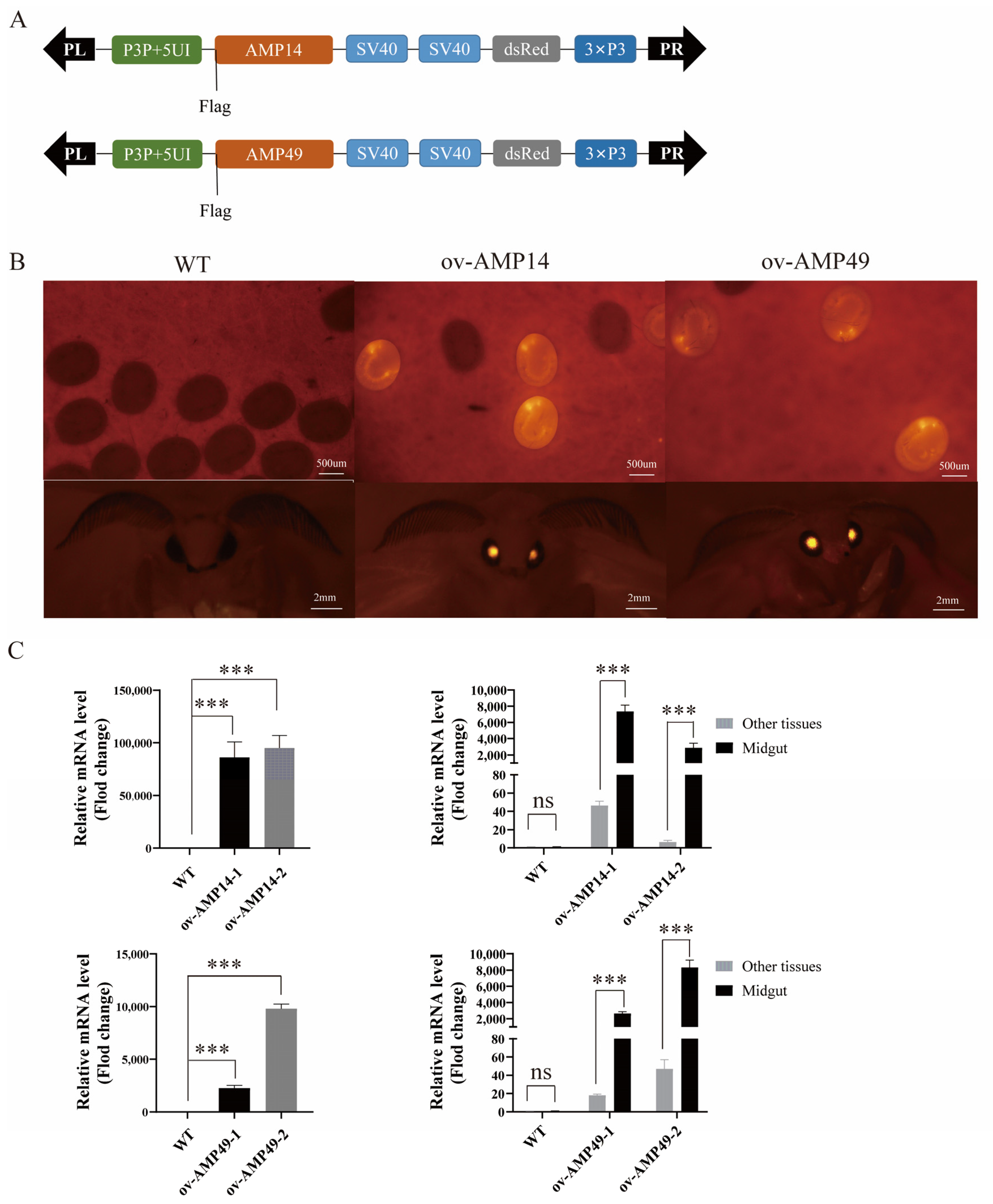 Insects 14 00443 g001