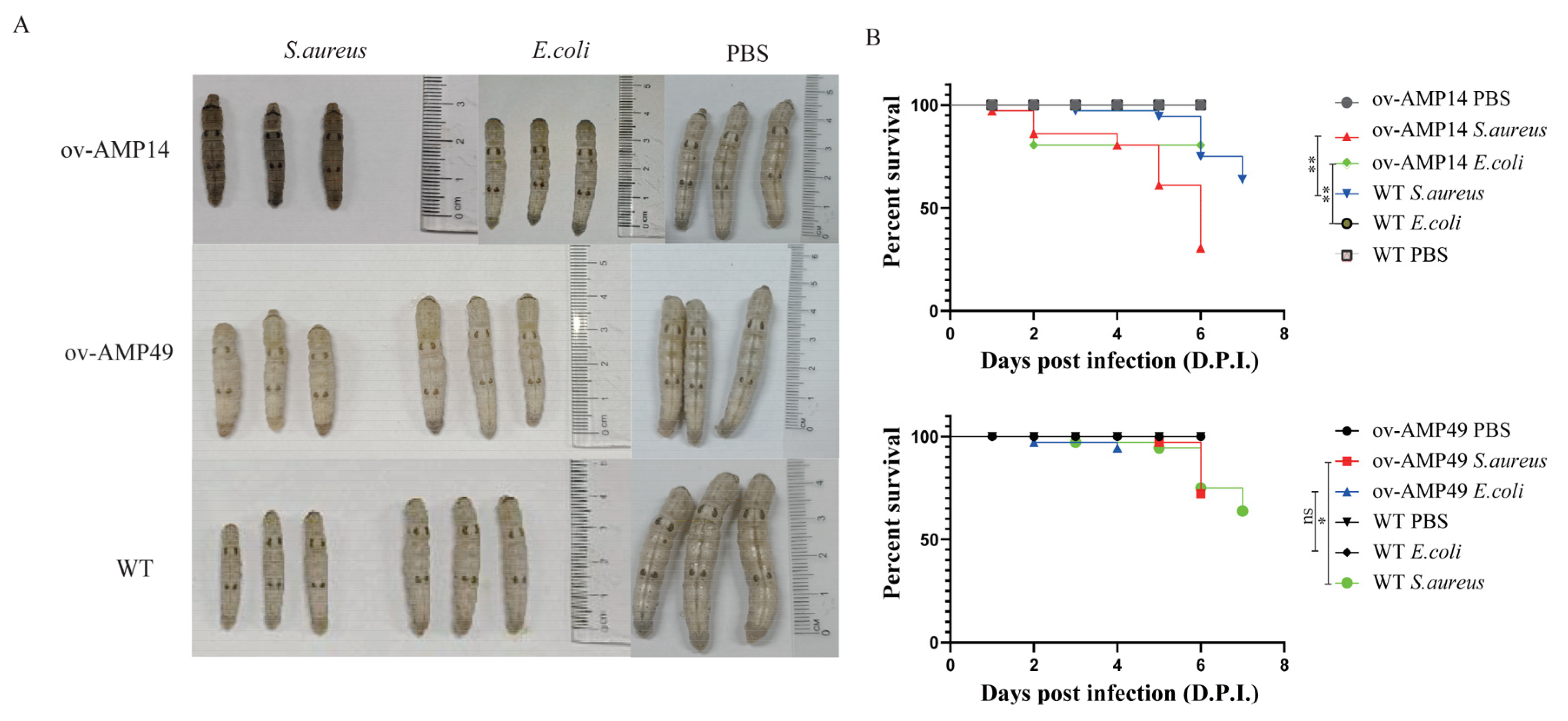 Insects 14 00443 g002