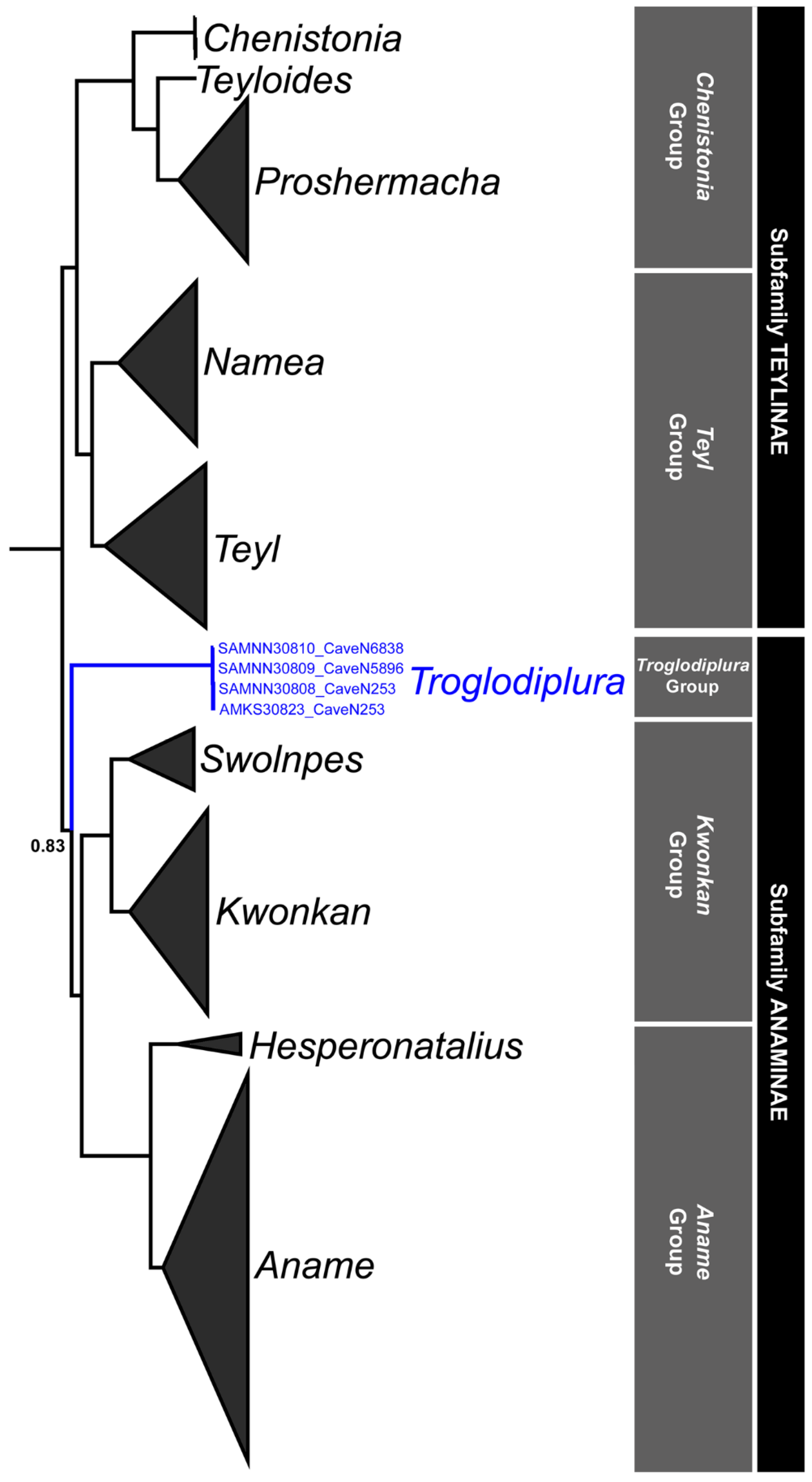 Insects 14 00449 g006