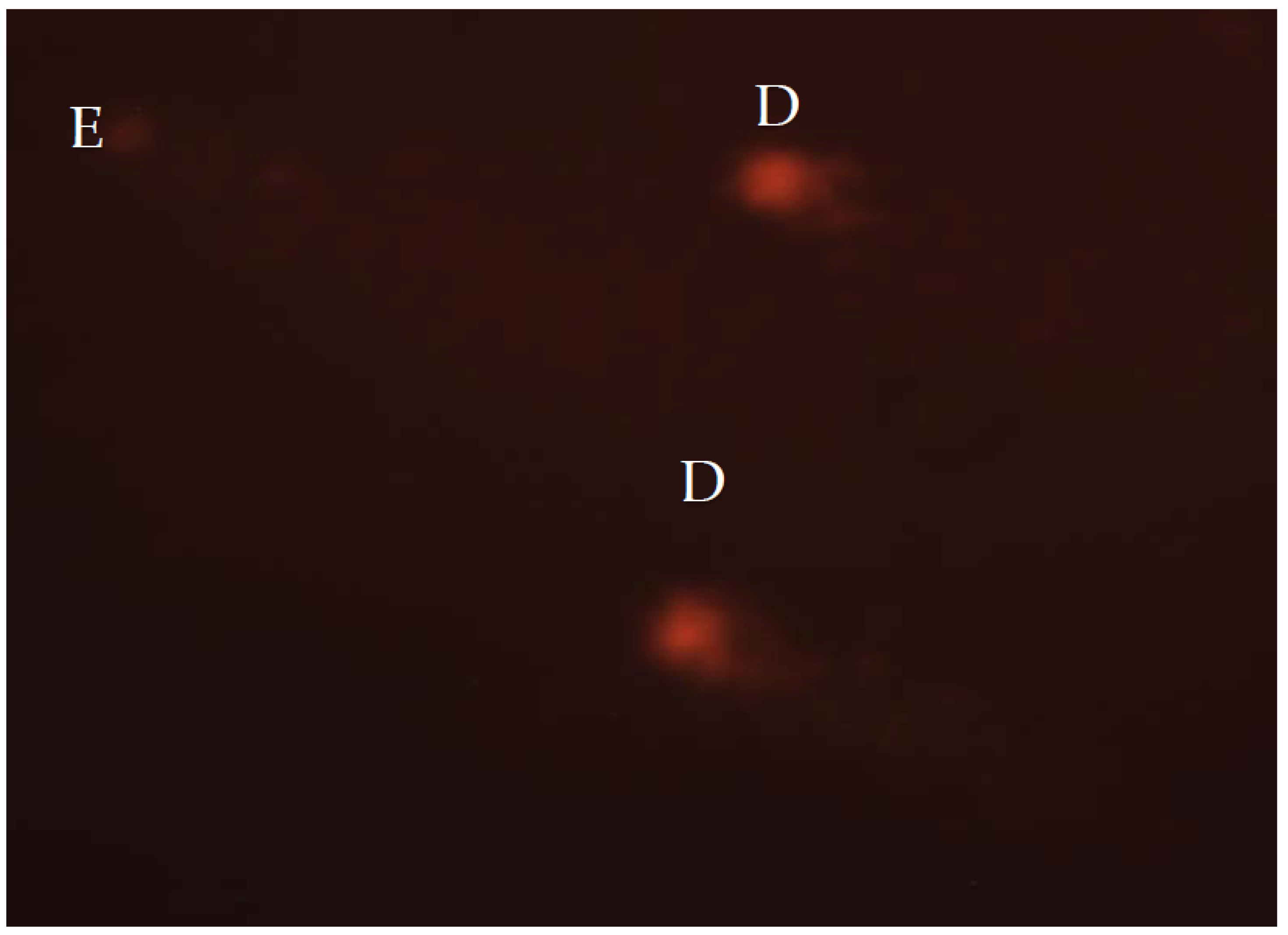 Insects 14 00451 g001