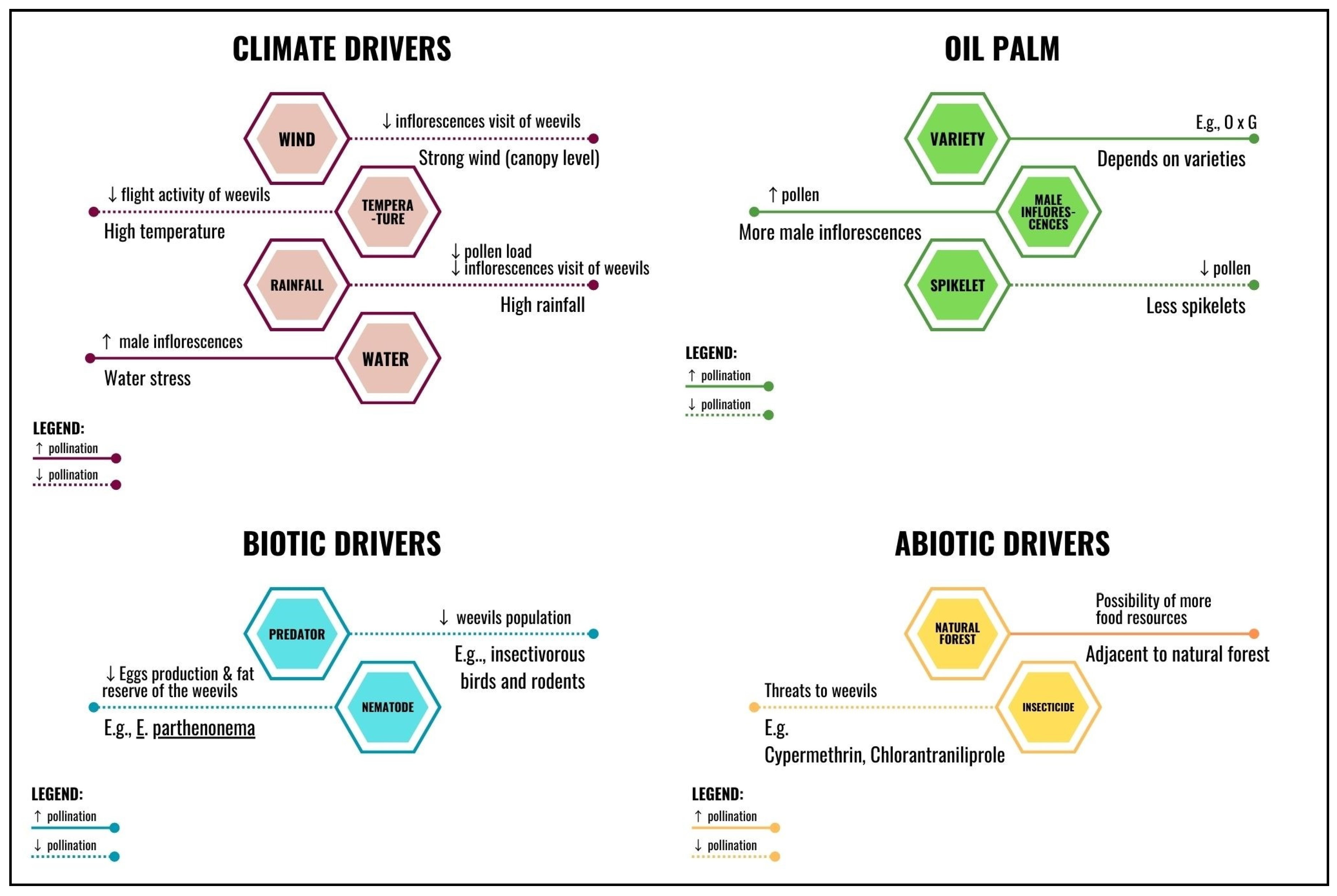 Insects 14 00454 g001