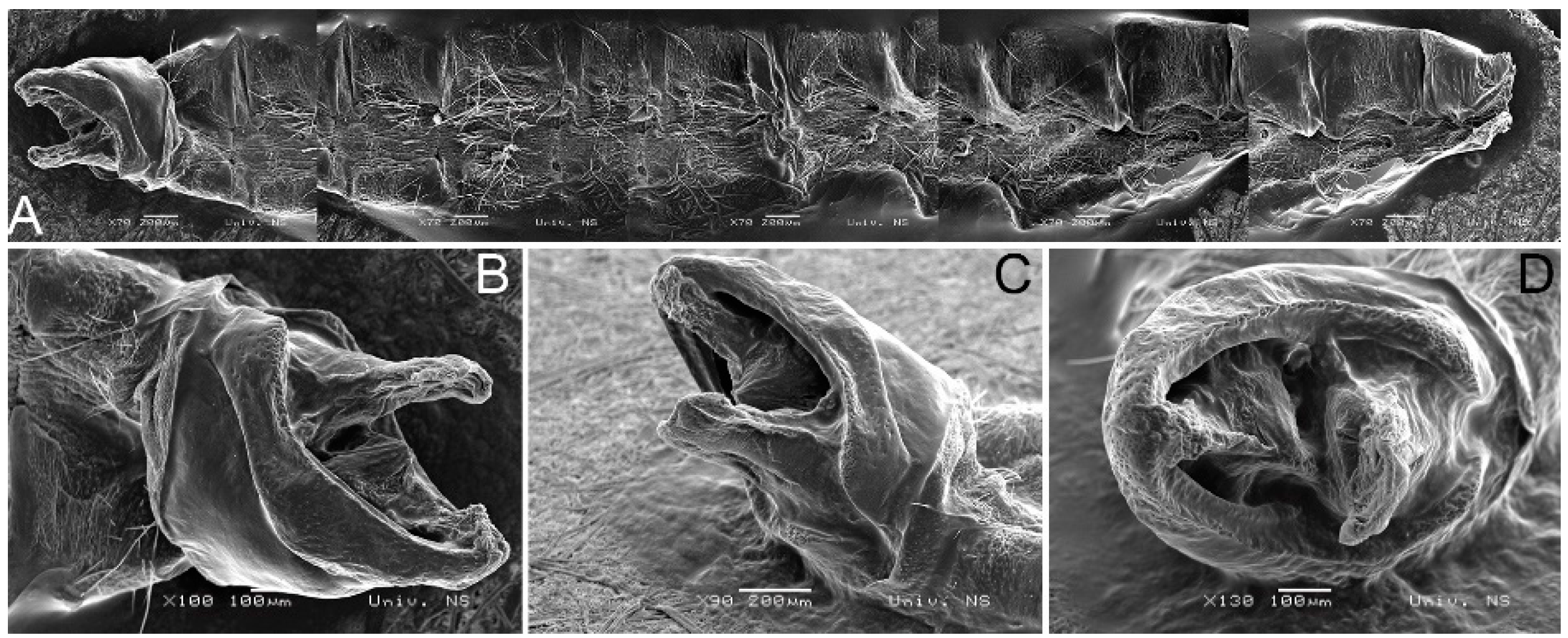 Insects 14 00455 g007