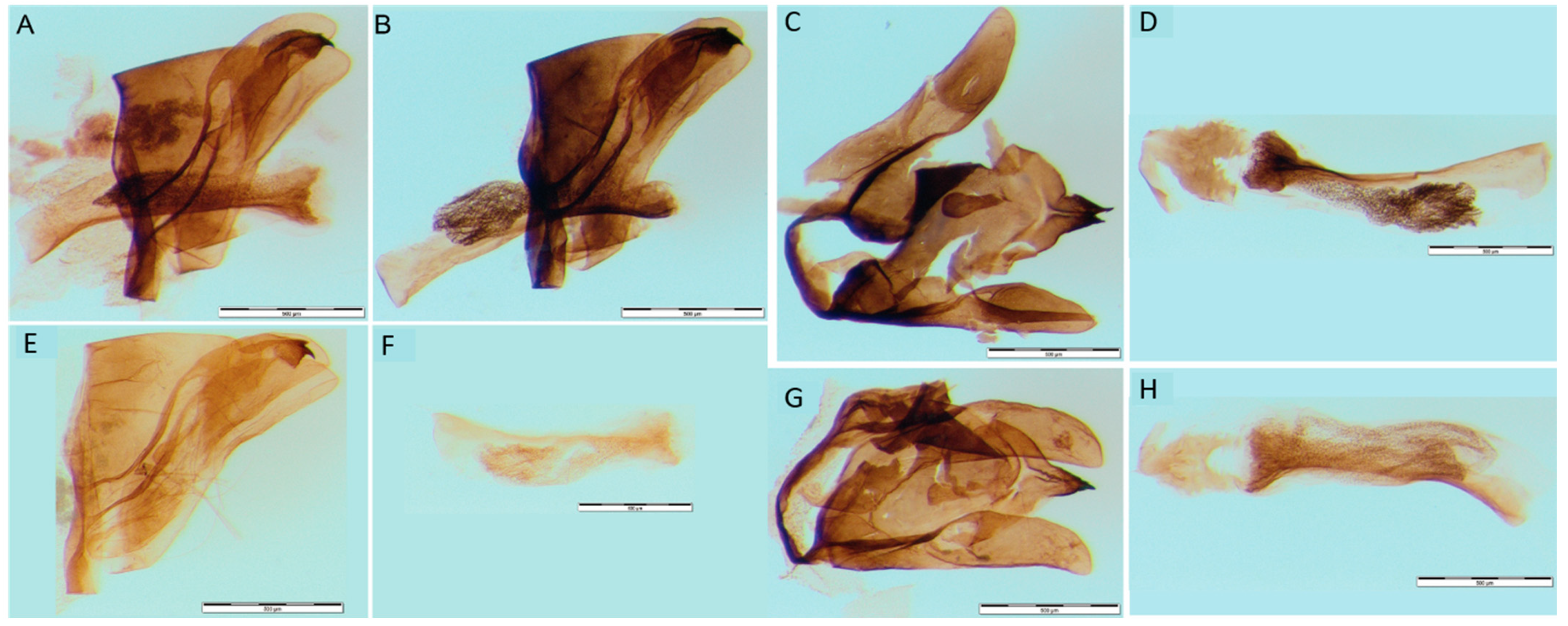 Insects 14 00455 g008