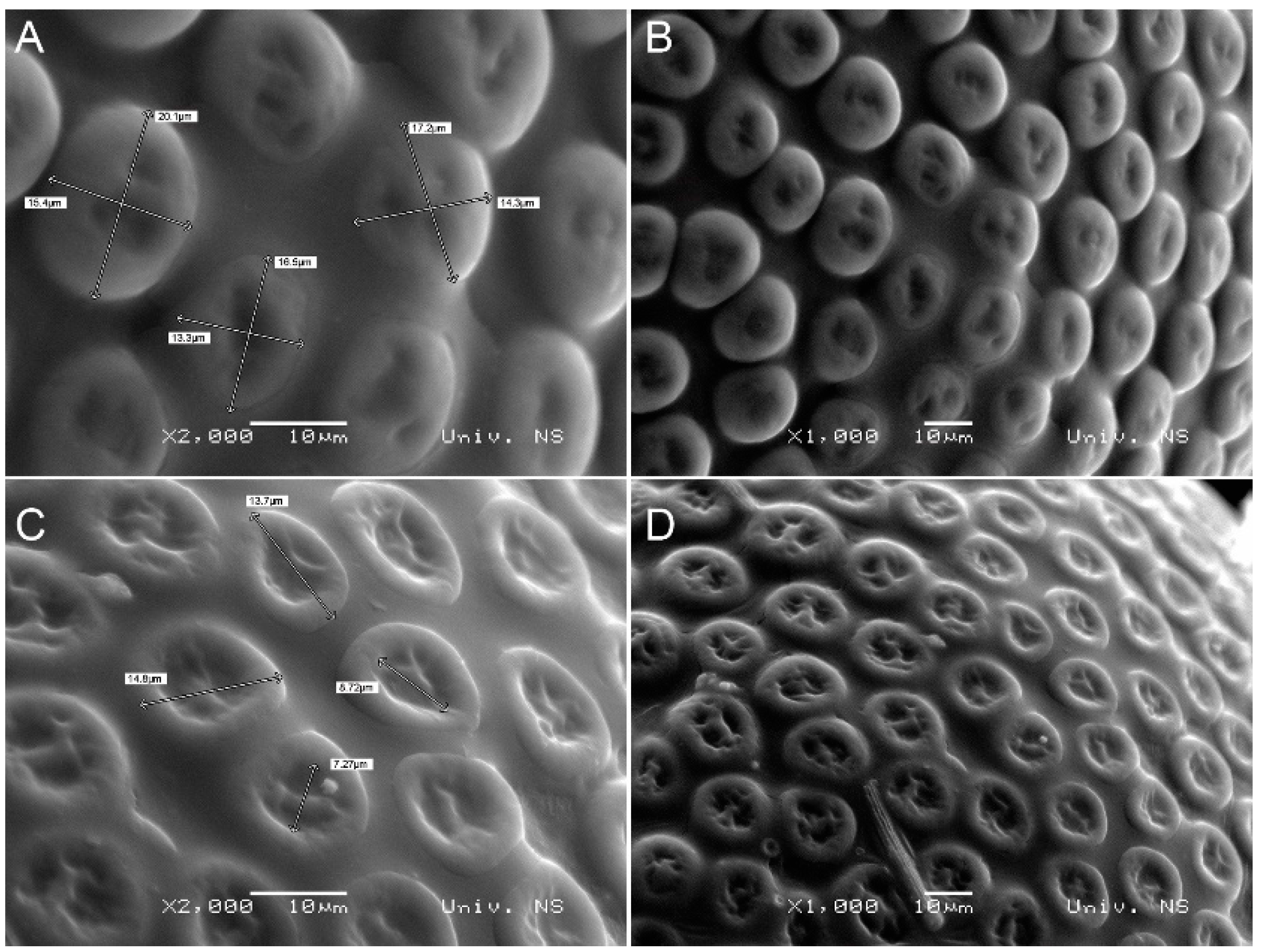 Insects 14 00455 g009