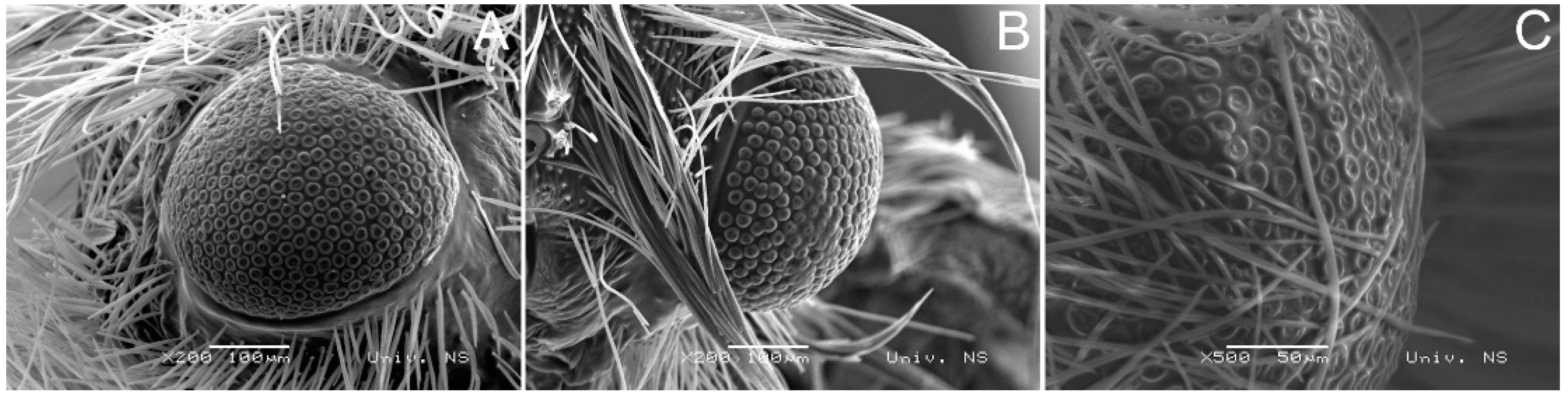 Insects 14 00455 g010