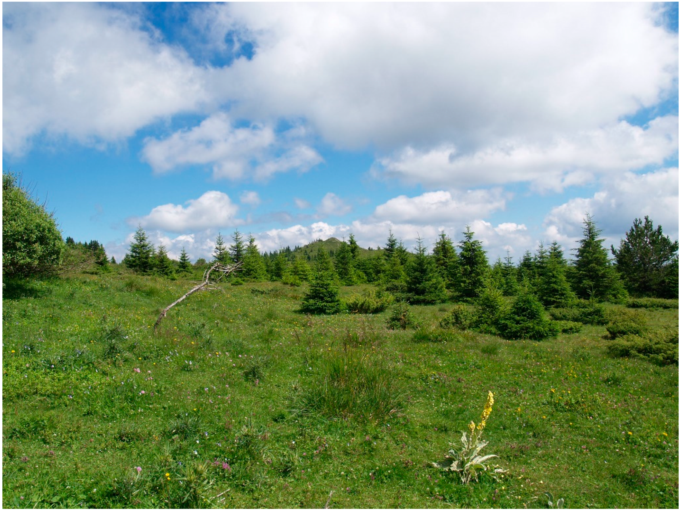 Insects 14 00455 g013