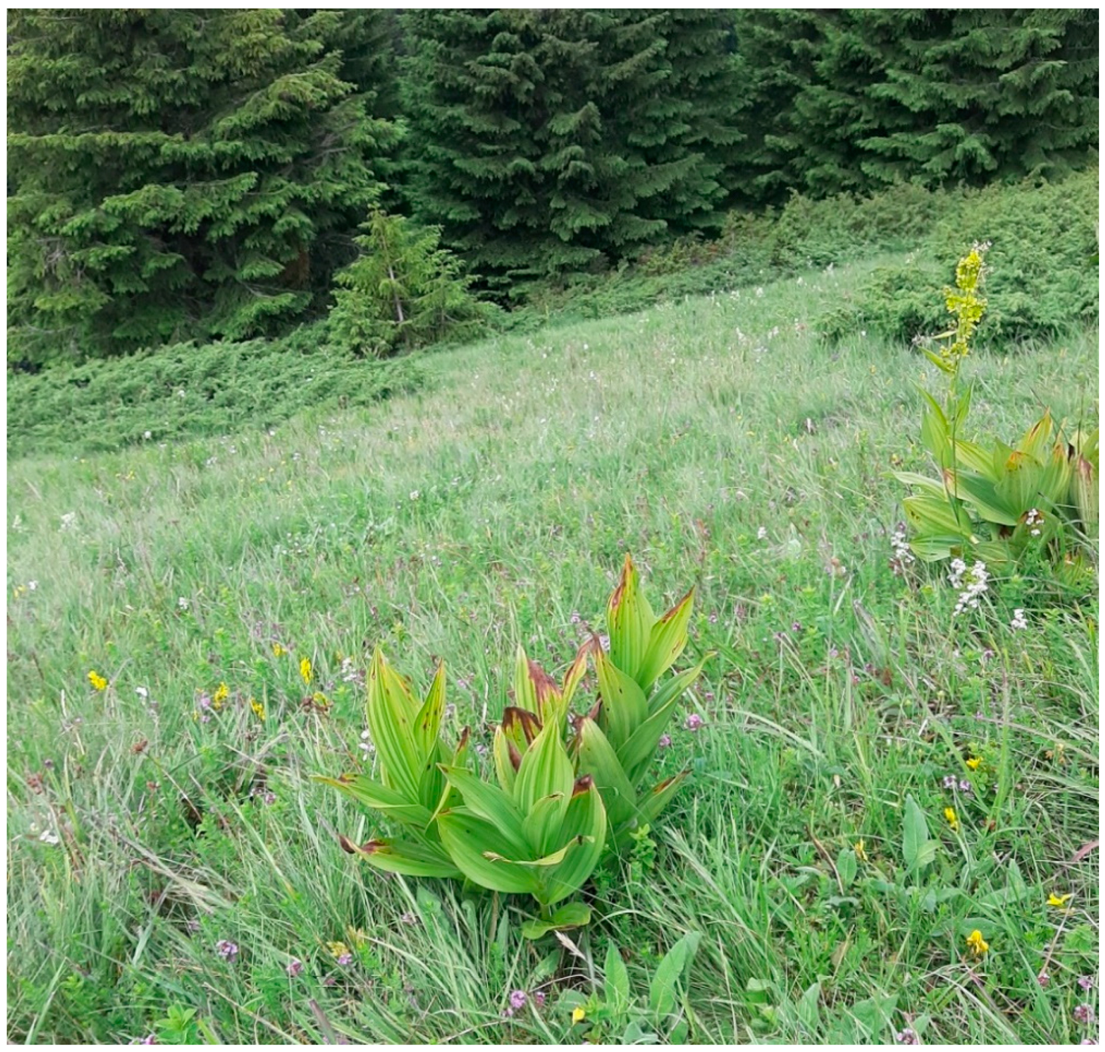 Insects 14 00455 g014