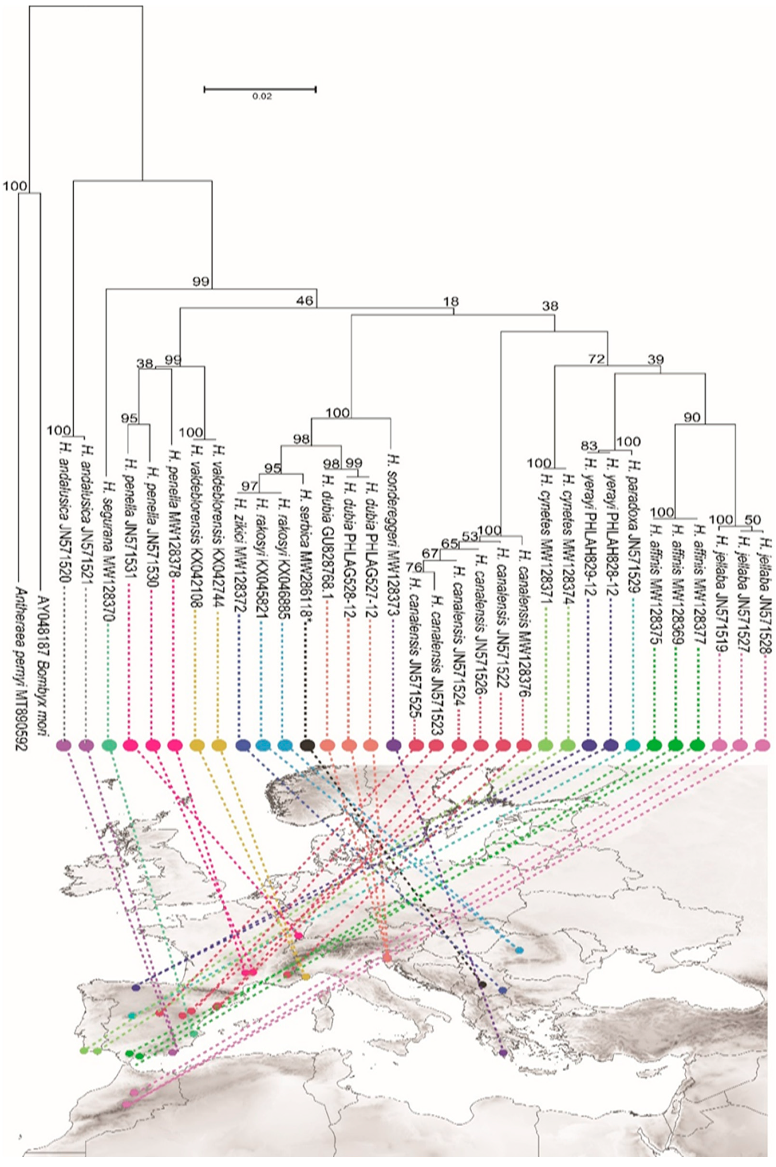Insects 14 00455 g017