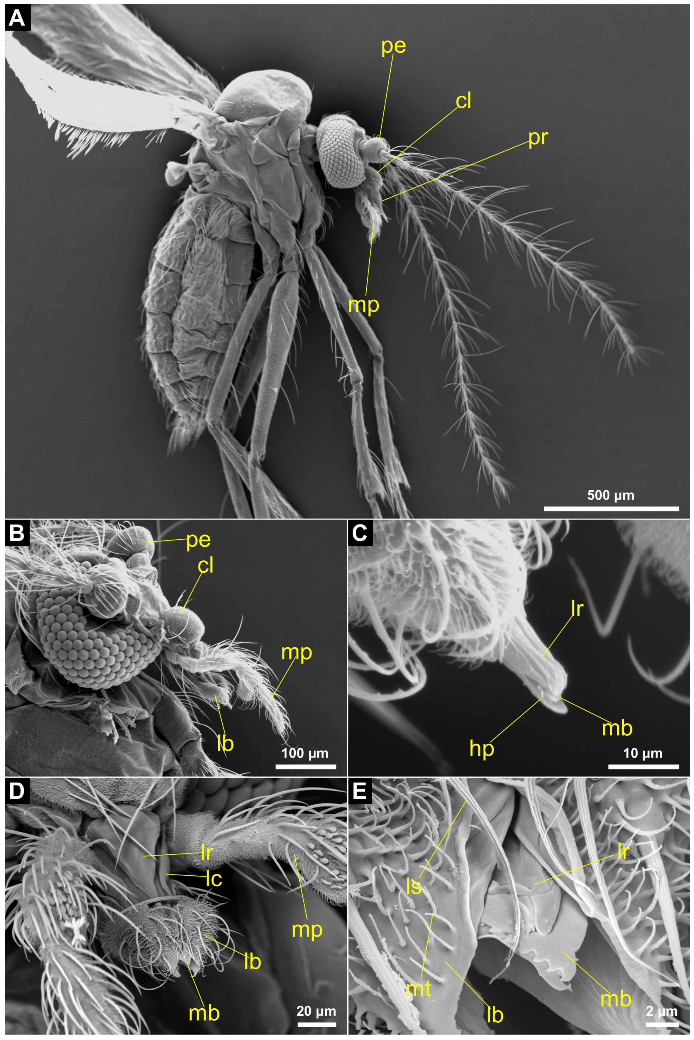 Insects 14 00461 g002 Insects 14 00461 g002