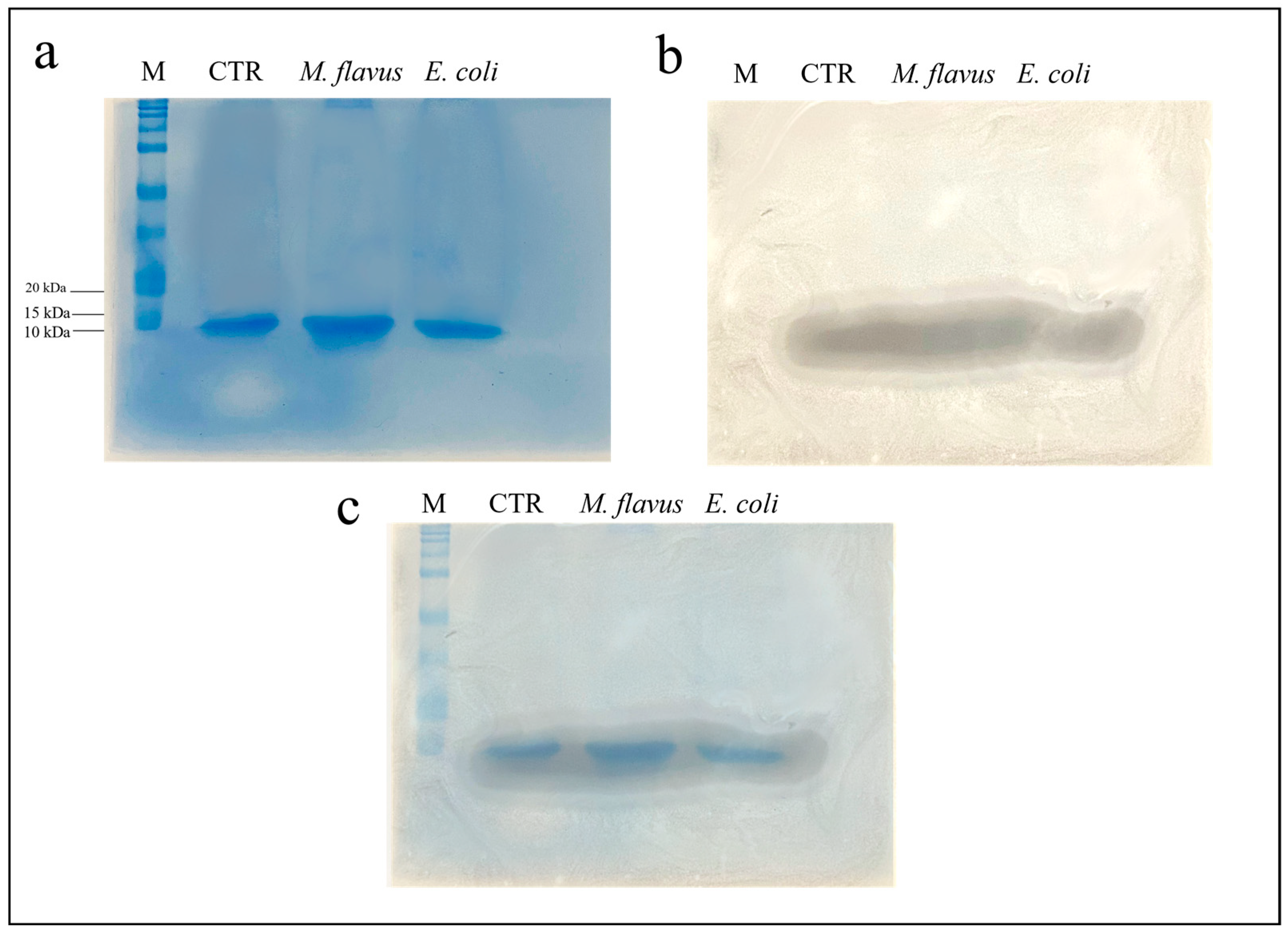 Insects 14 00464 g002