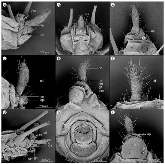 Insects 14 00471 g001