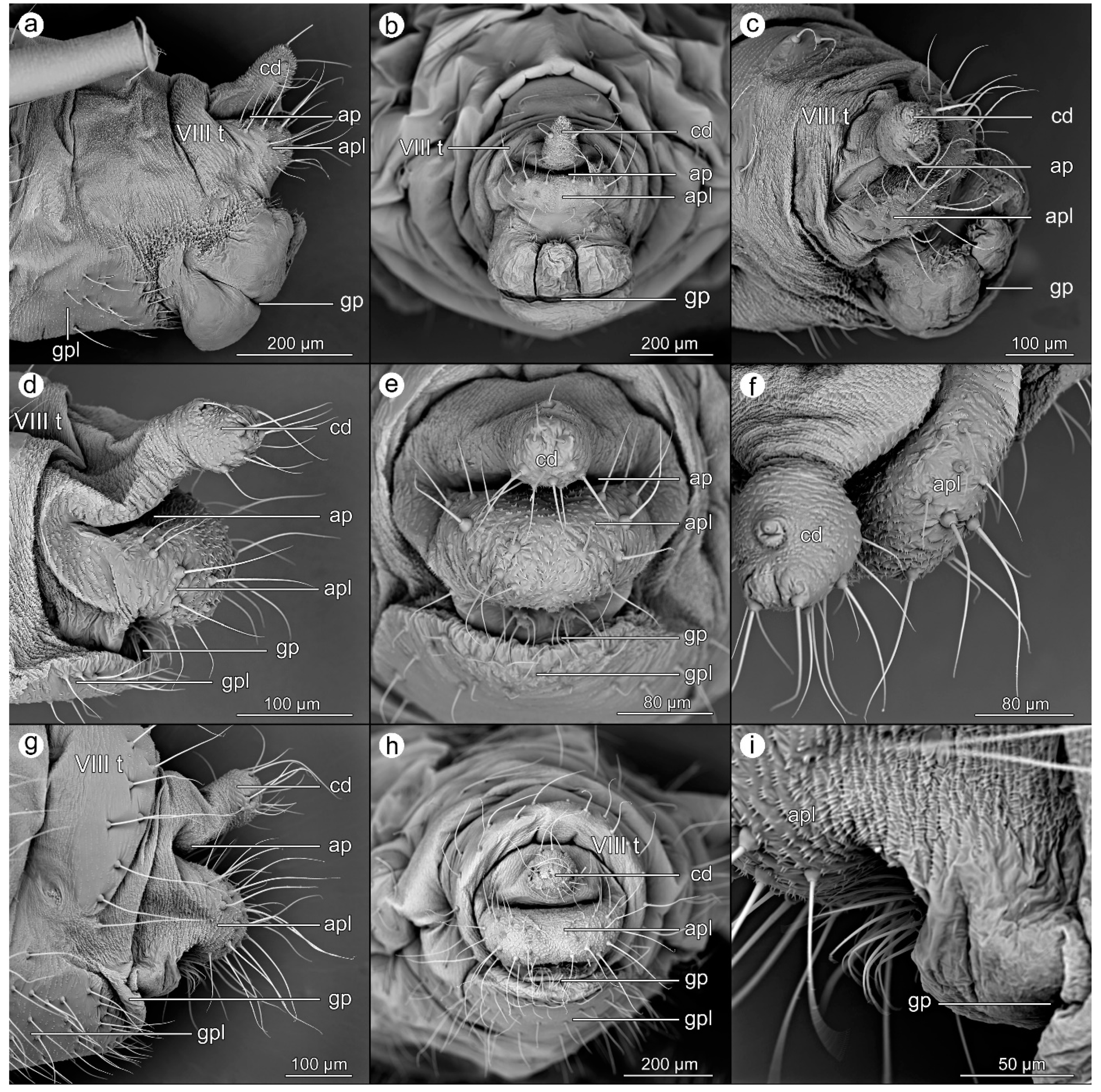 Insects 14 00471 g003