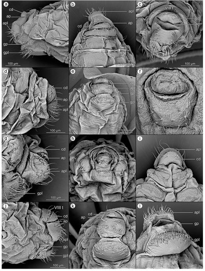 Insects 14 00471 g005