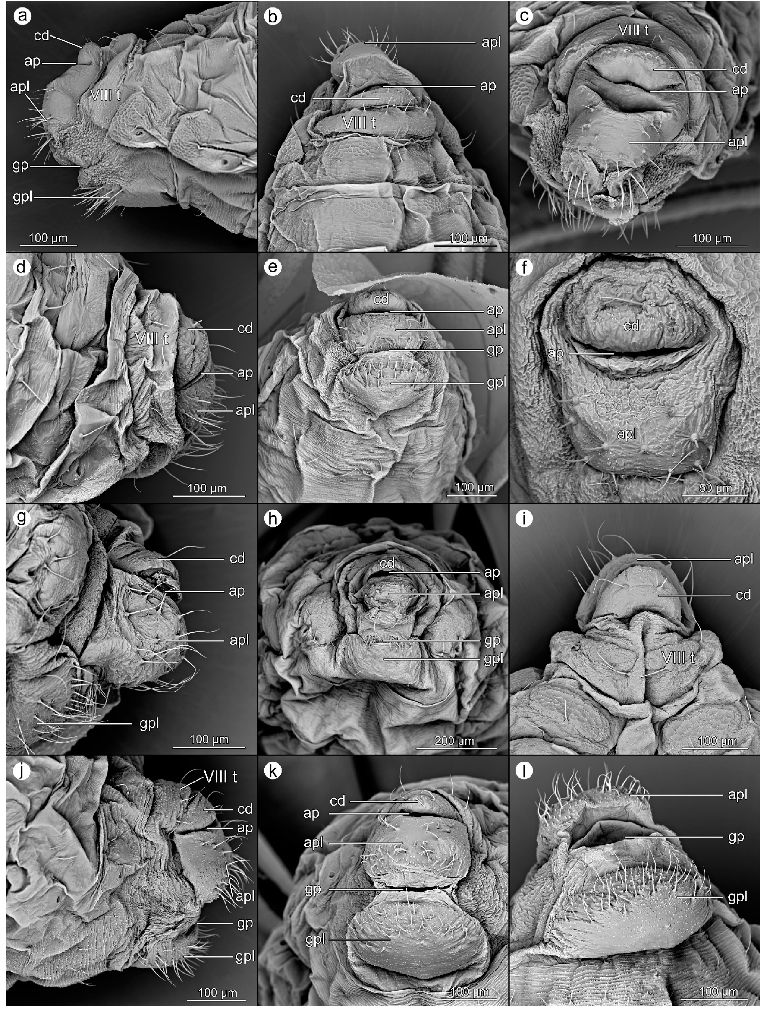 Insects 14 00471 g005