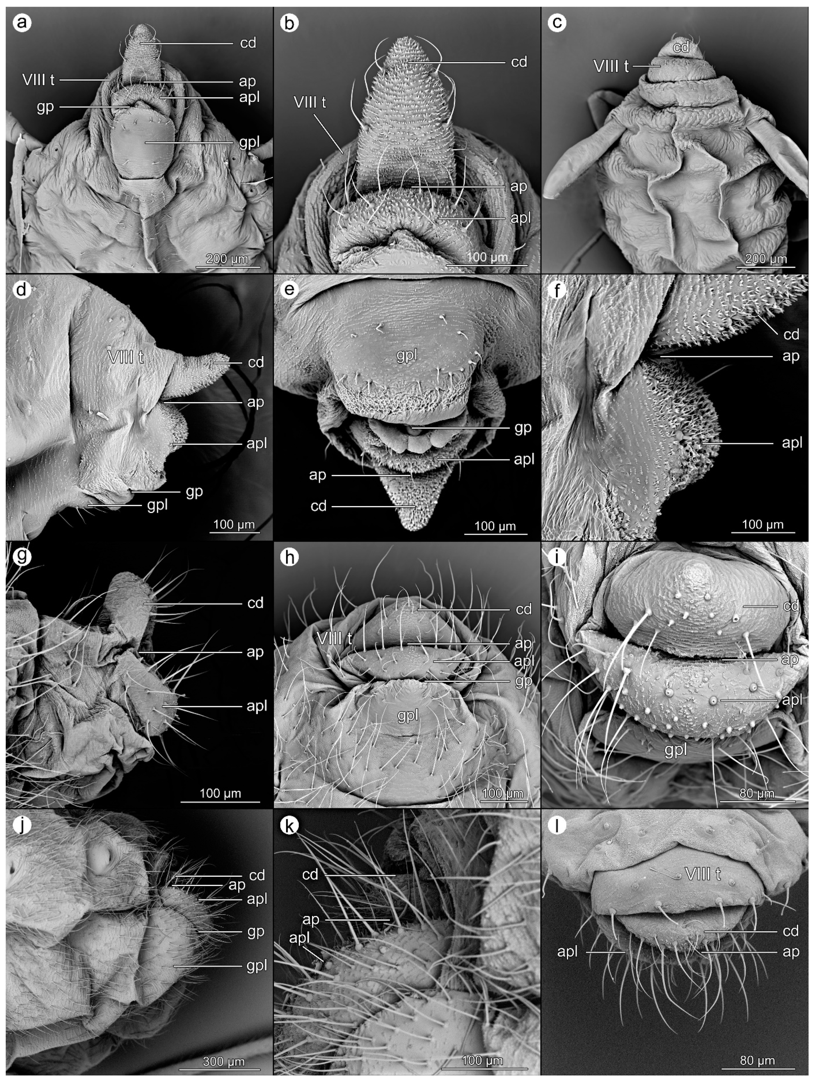 Insects 14 00471 g006
