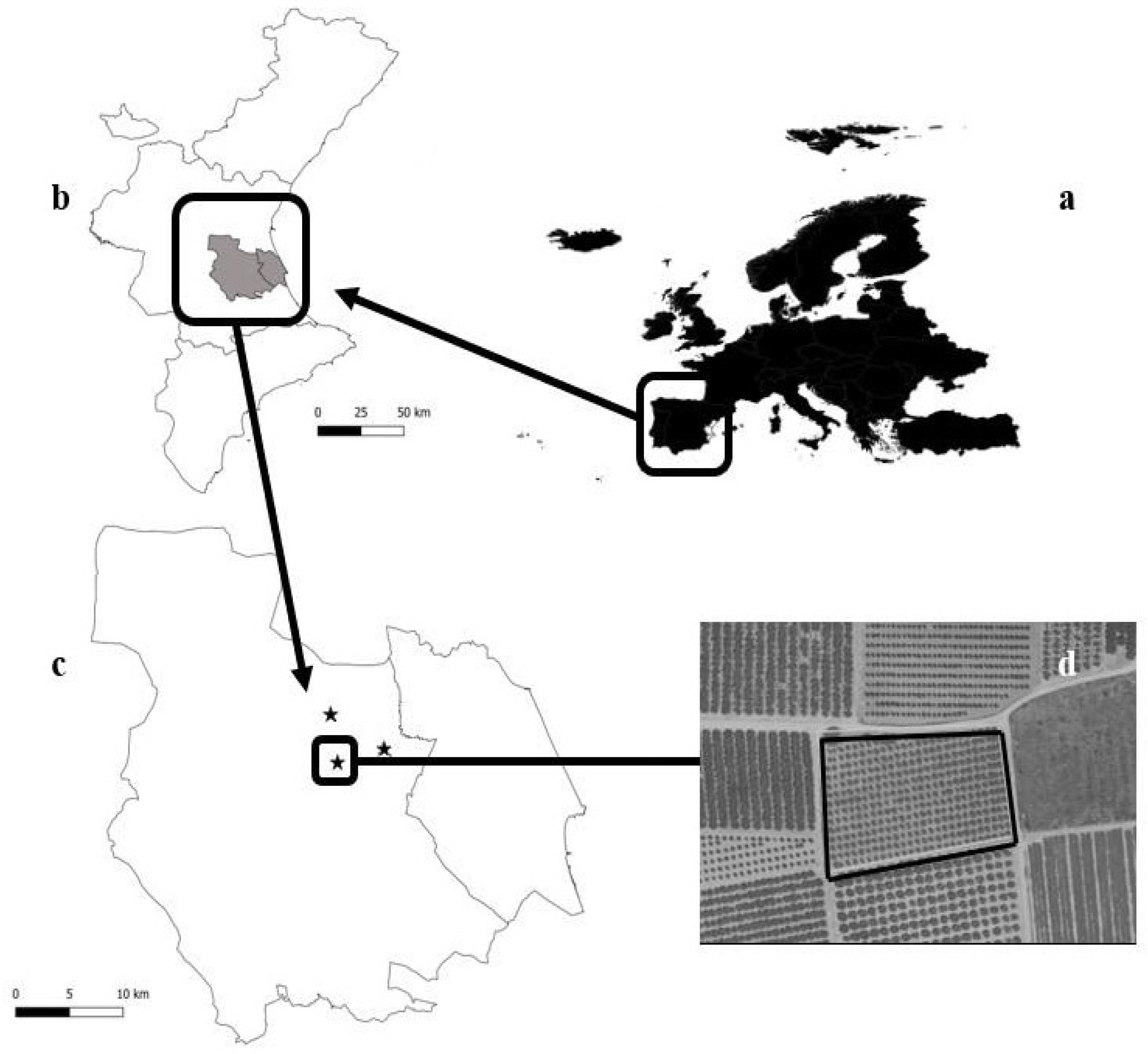 Insects 14 00481 g001