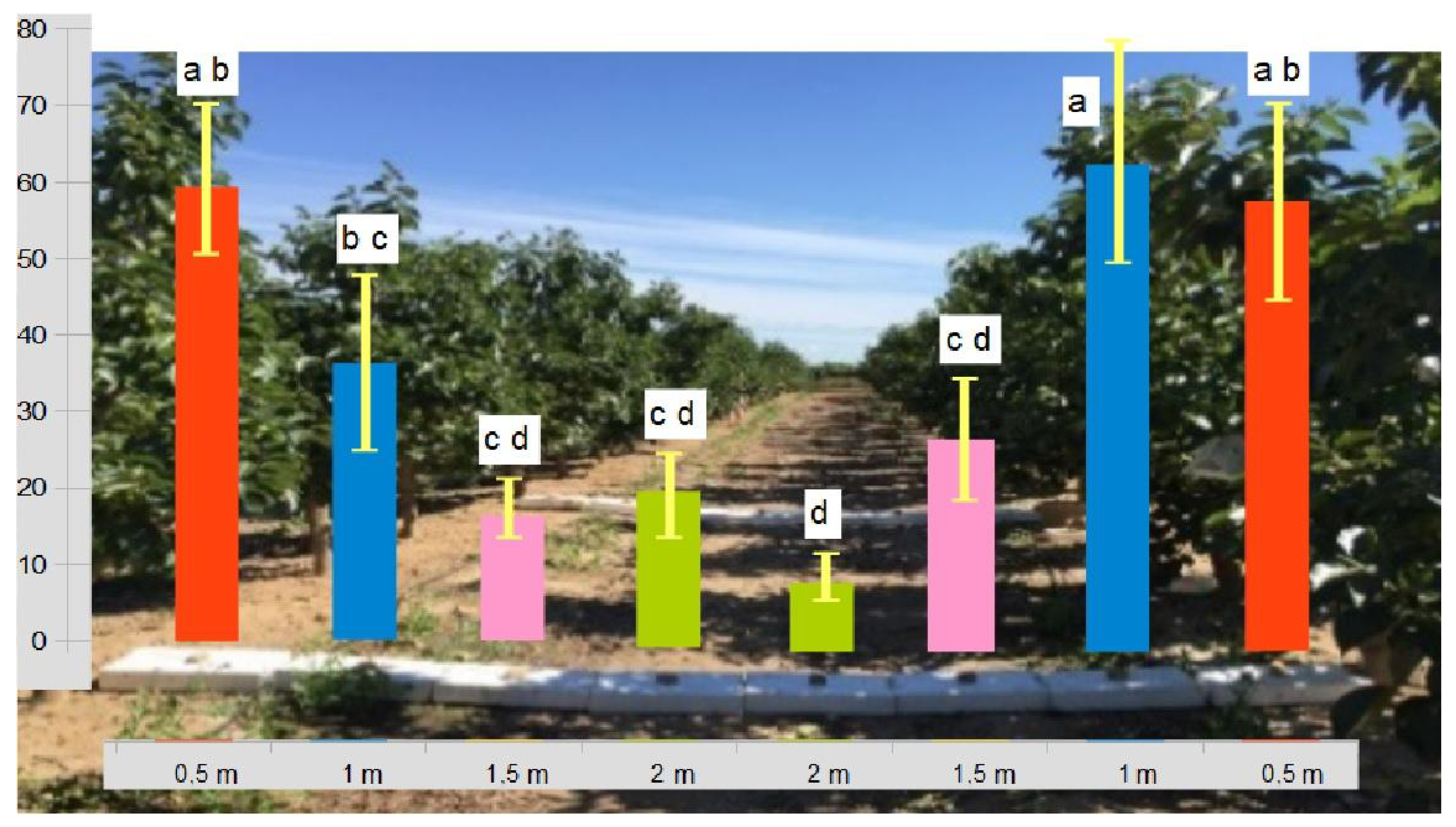 Insects 14 00481 g006