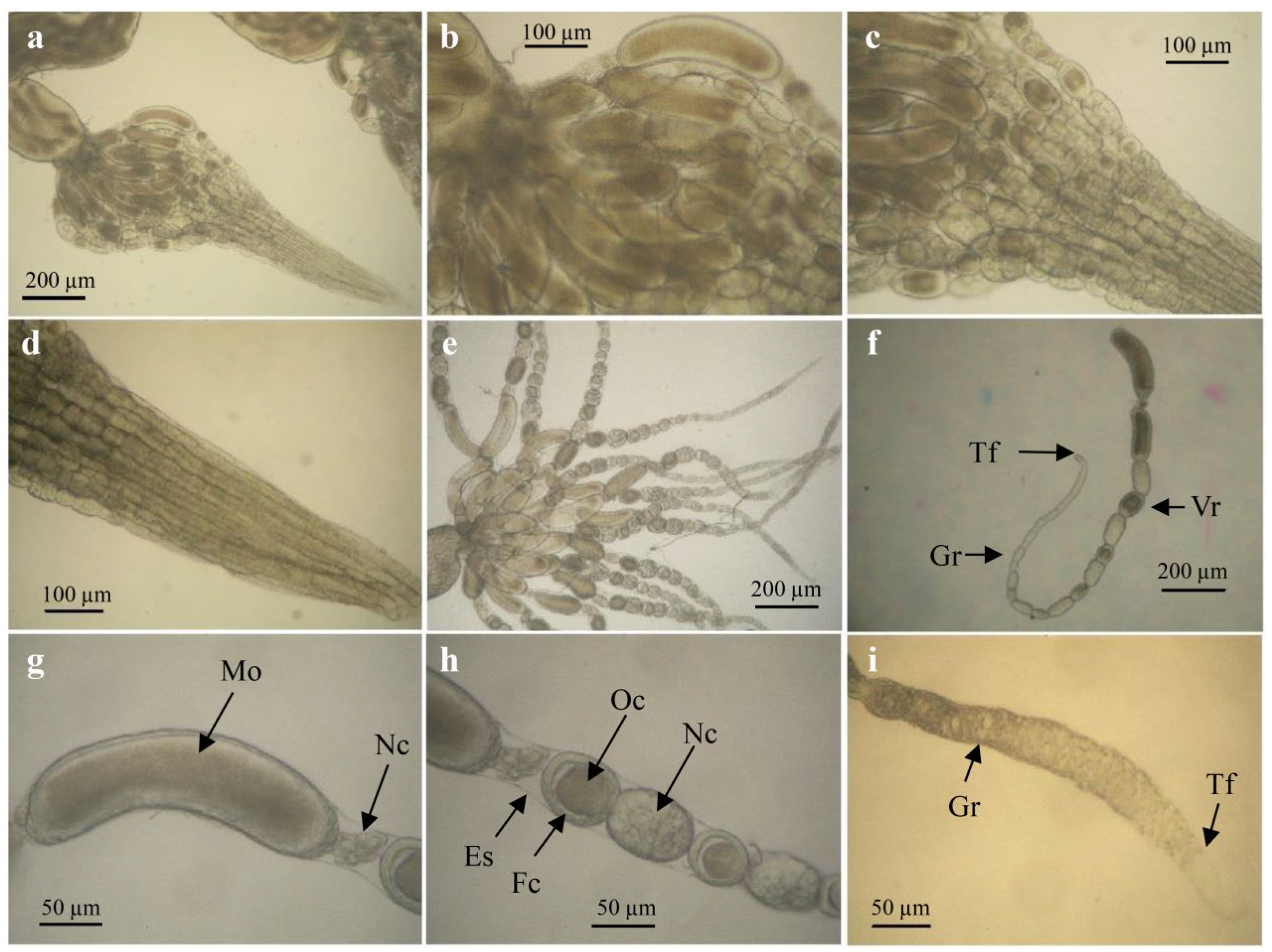 Insects 14 00483 g002