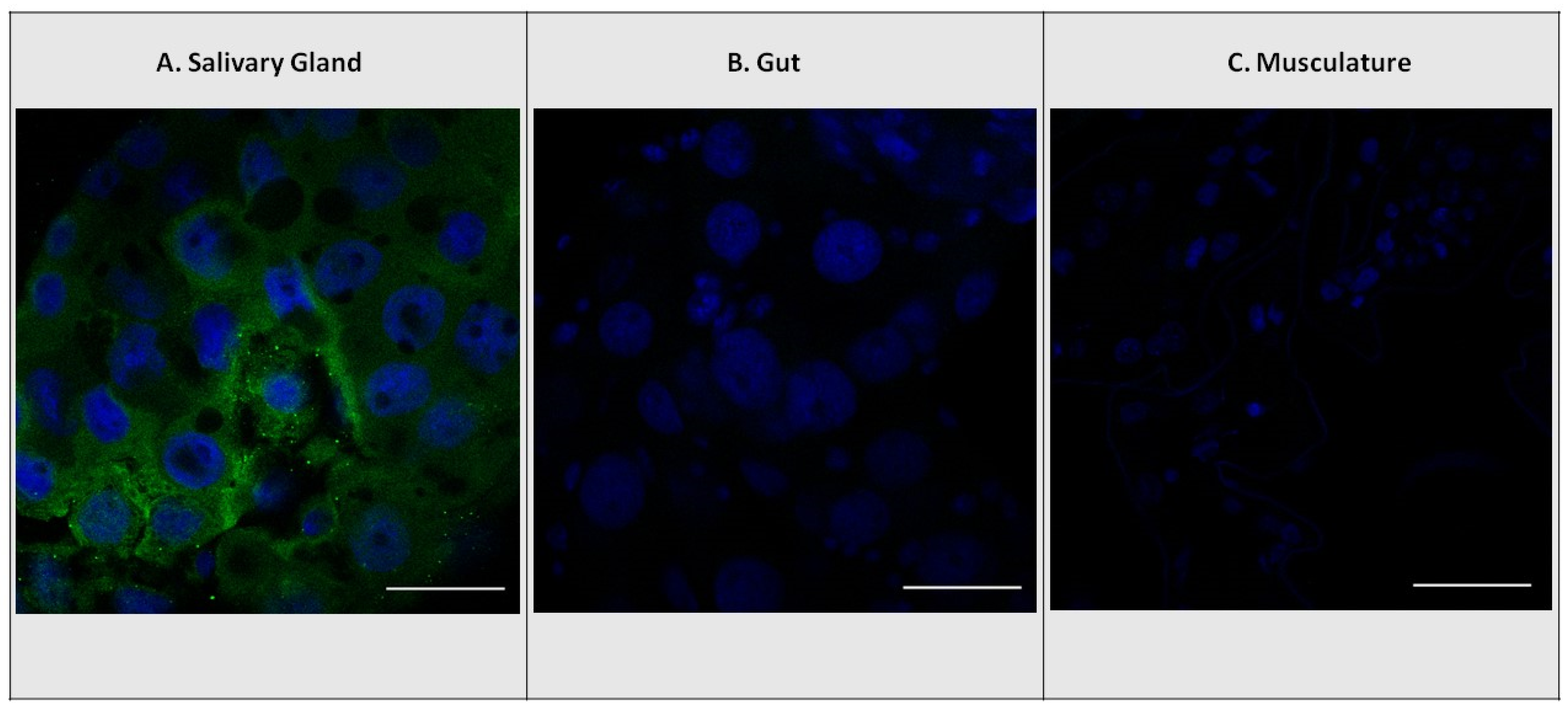 Insects 14 00489 g002