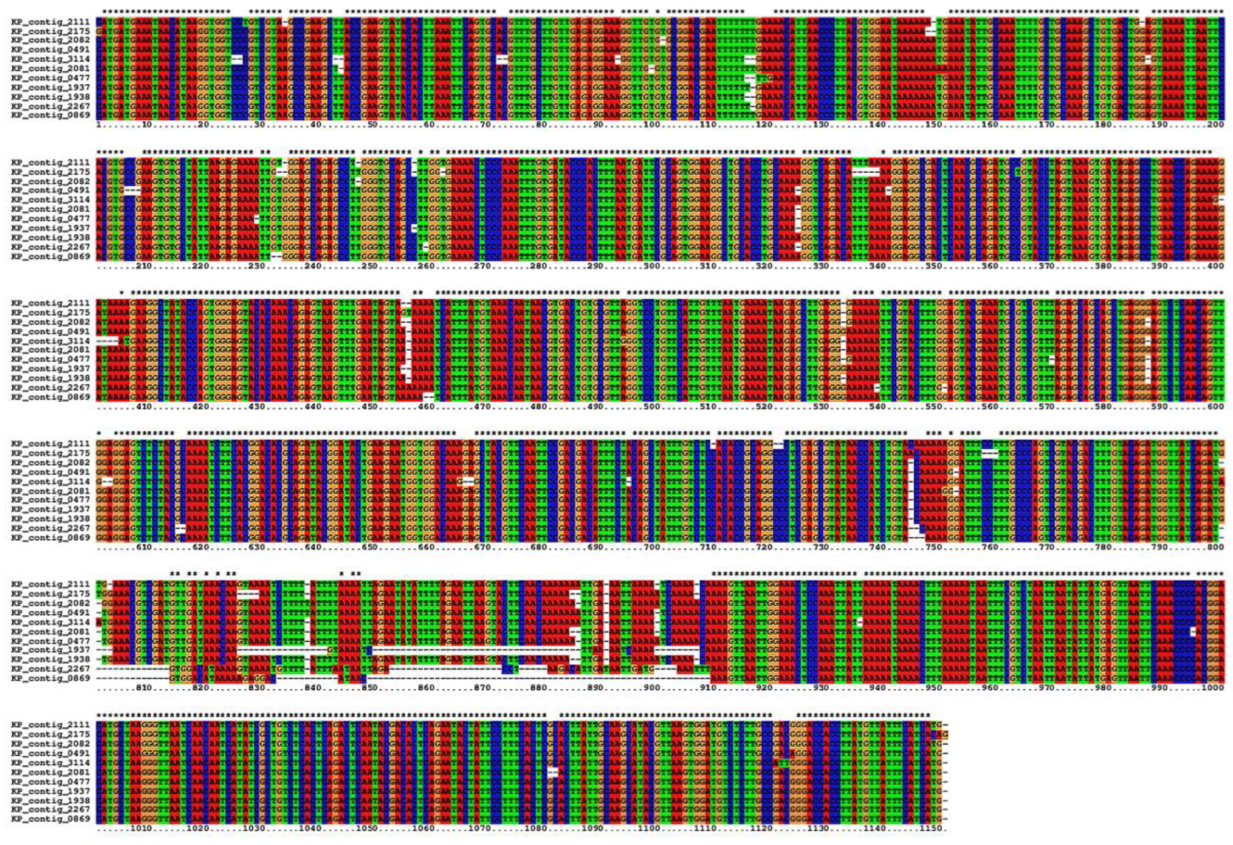 Insects 14 00494 g002