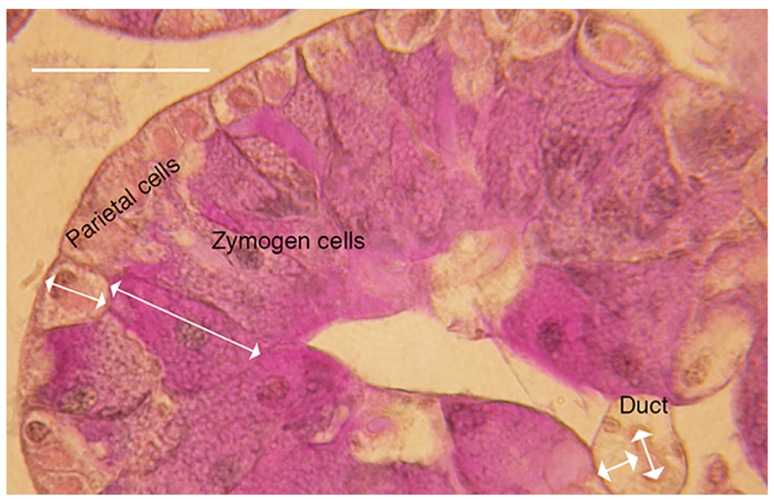 Insects 14 00495 g001