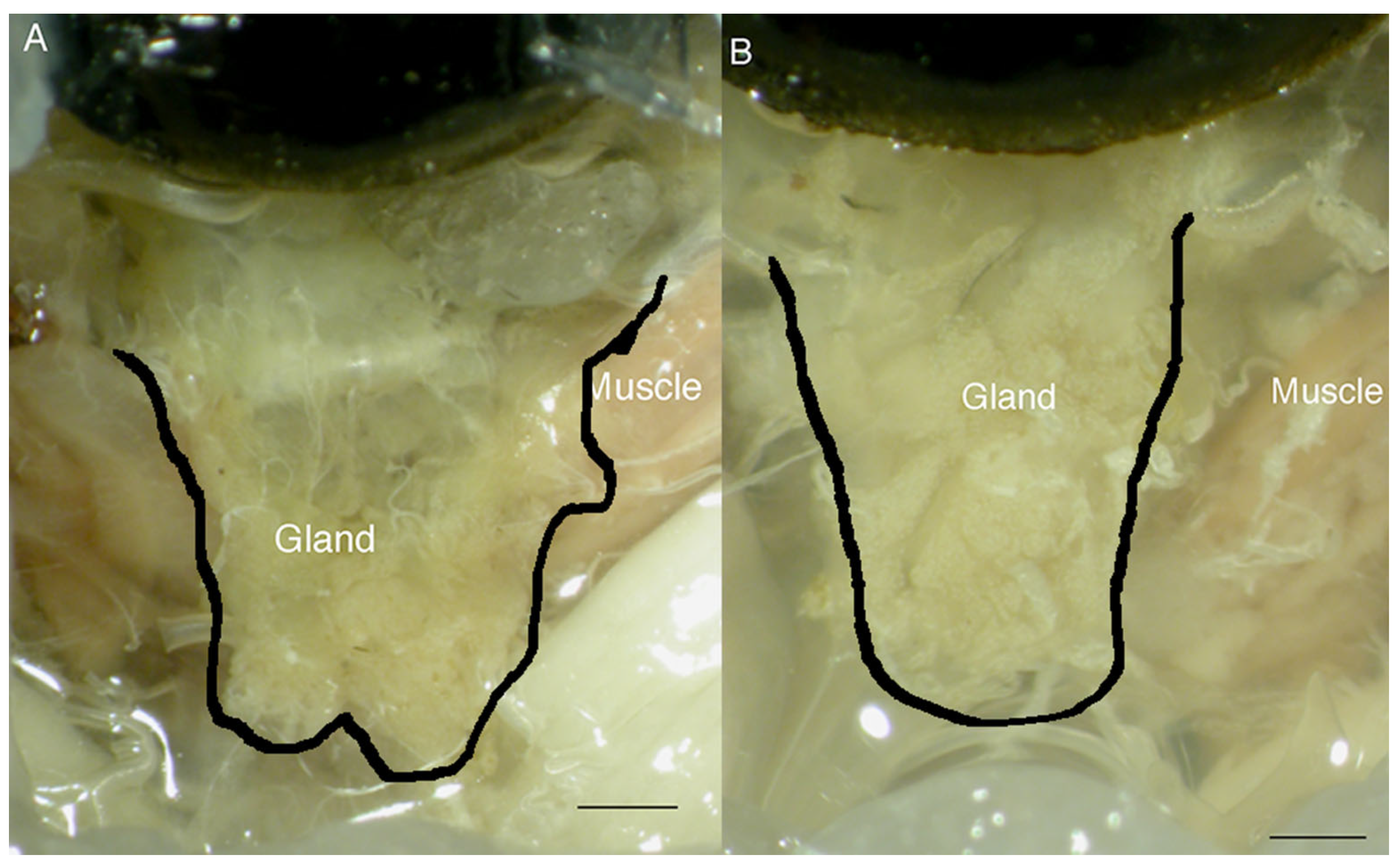 Insects 14 00495 g002