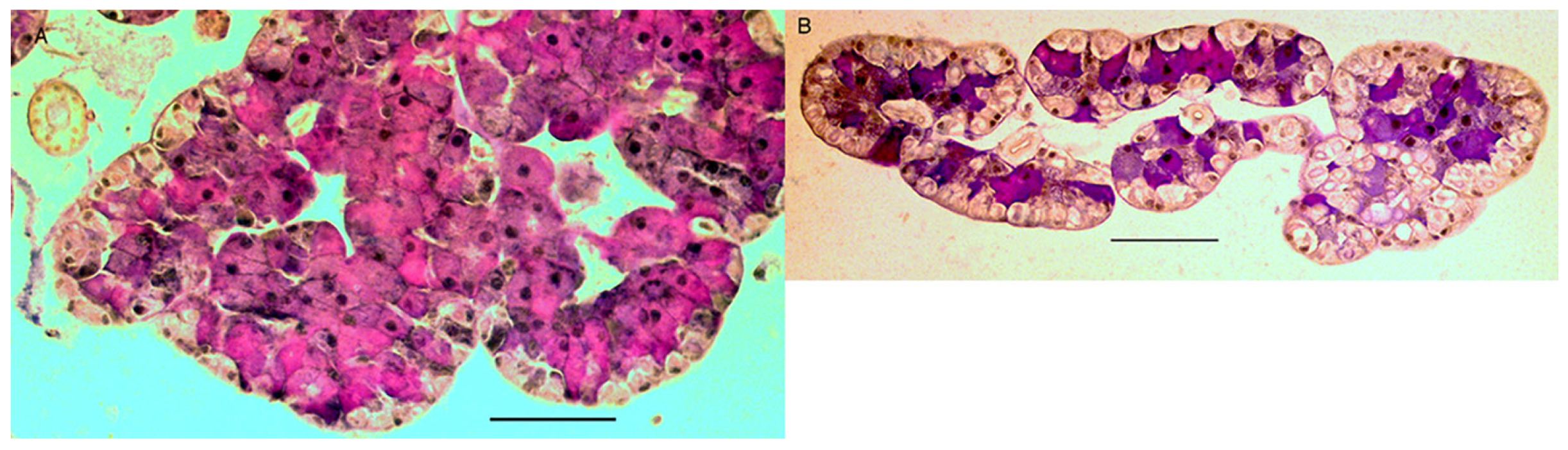 Insects 14 00495 g003