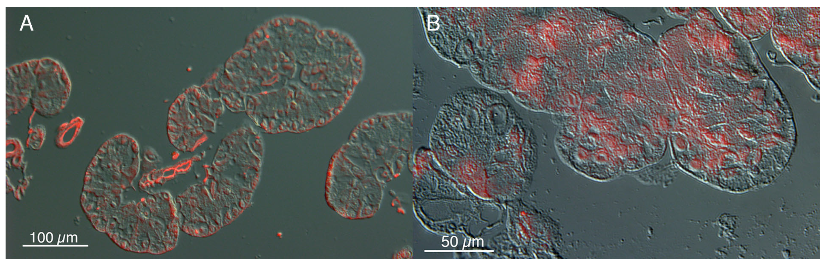 Insects 14 00495 g008