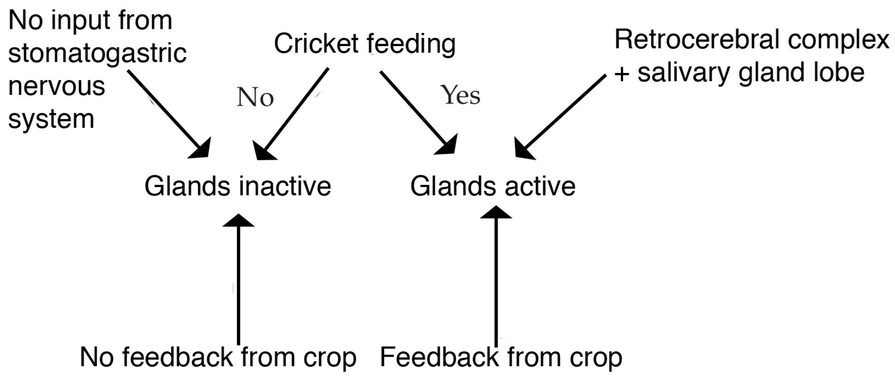 Insects 14 00495 g009