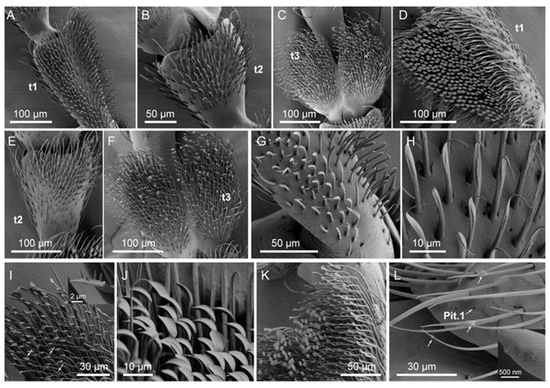 Insects 14 00501 g0a1