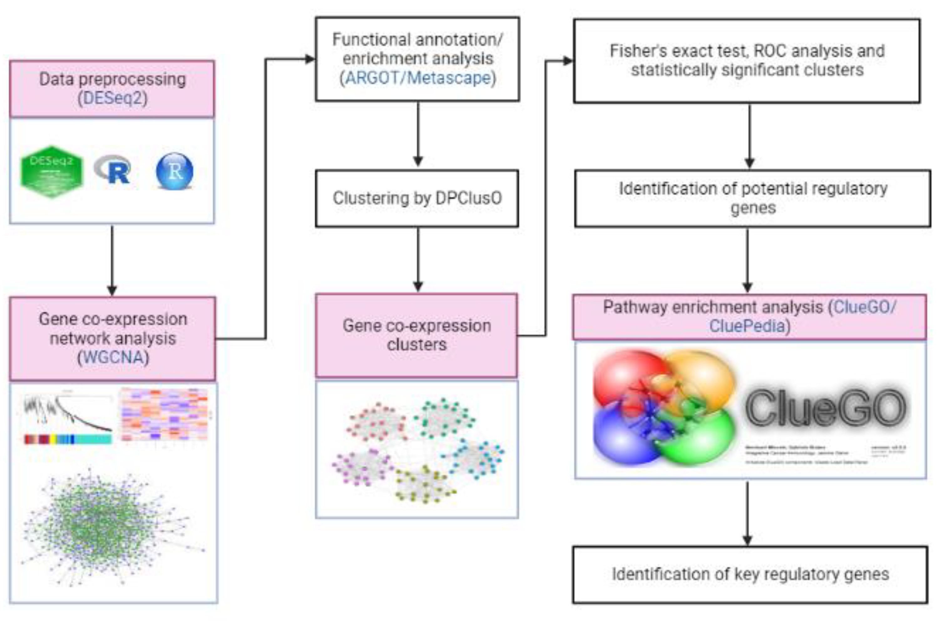 Insects 14 00503 g001