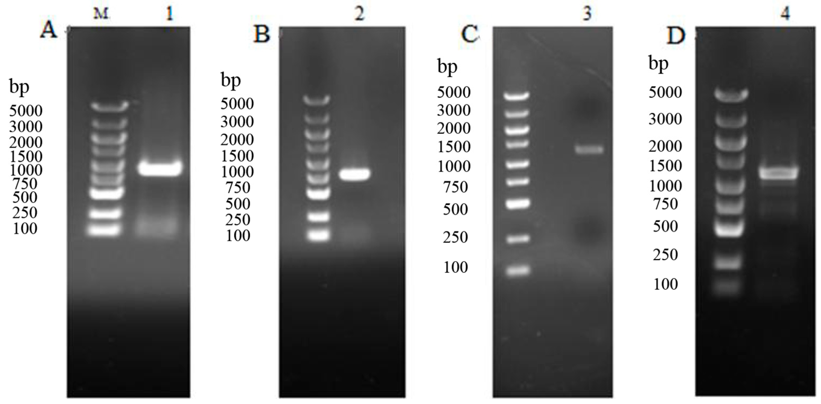 Insects 14 00508 g001