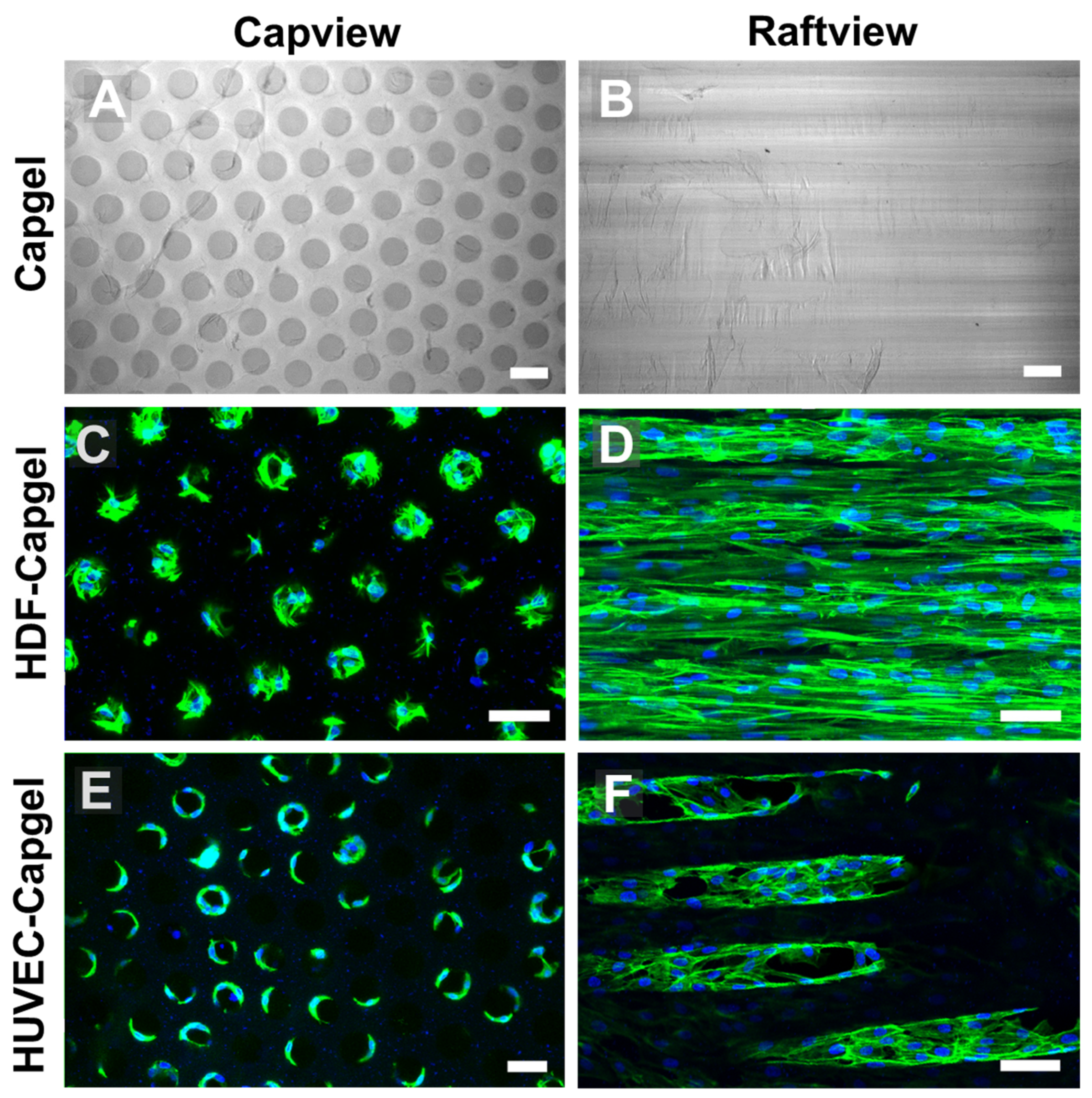 Insects 14 00514 g003