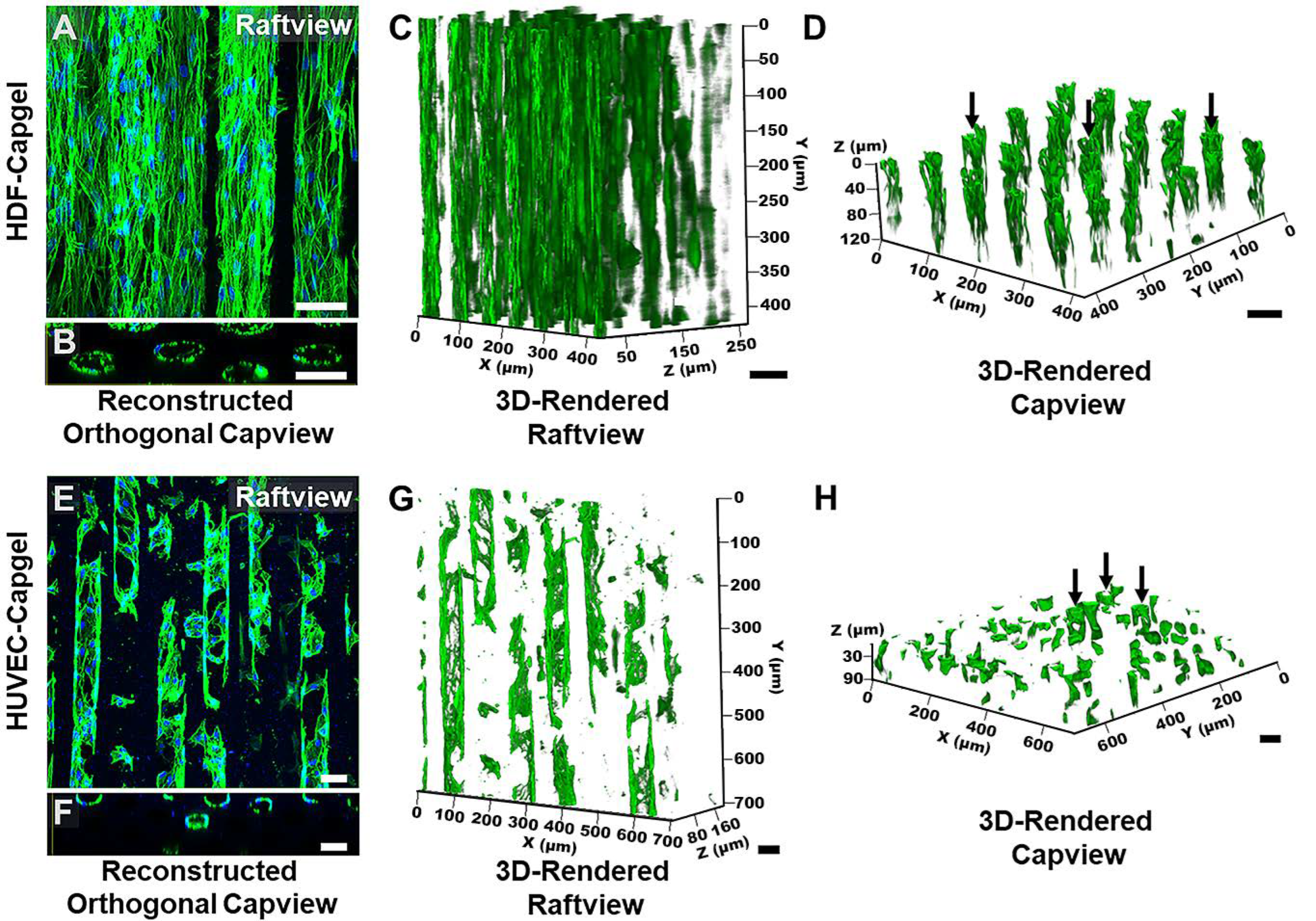 Insects 14 00514 g004