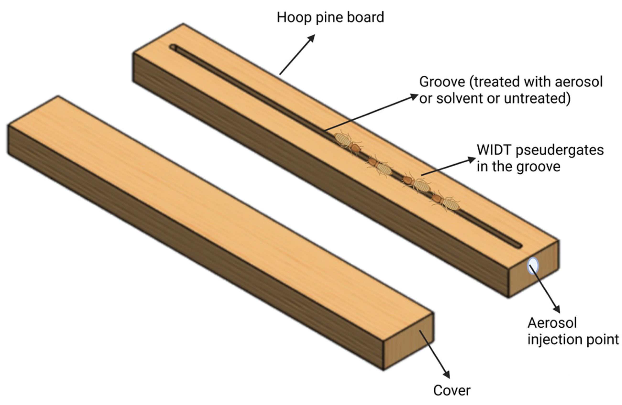 Insects 14 00522 g001