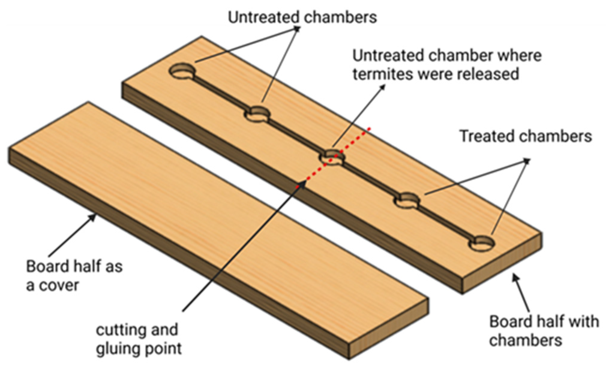 Insects 14 00522 g002